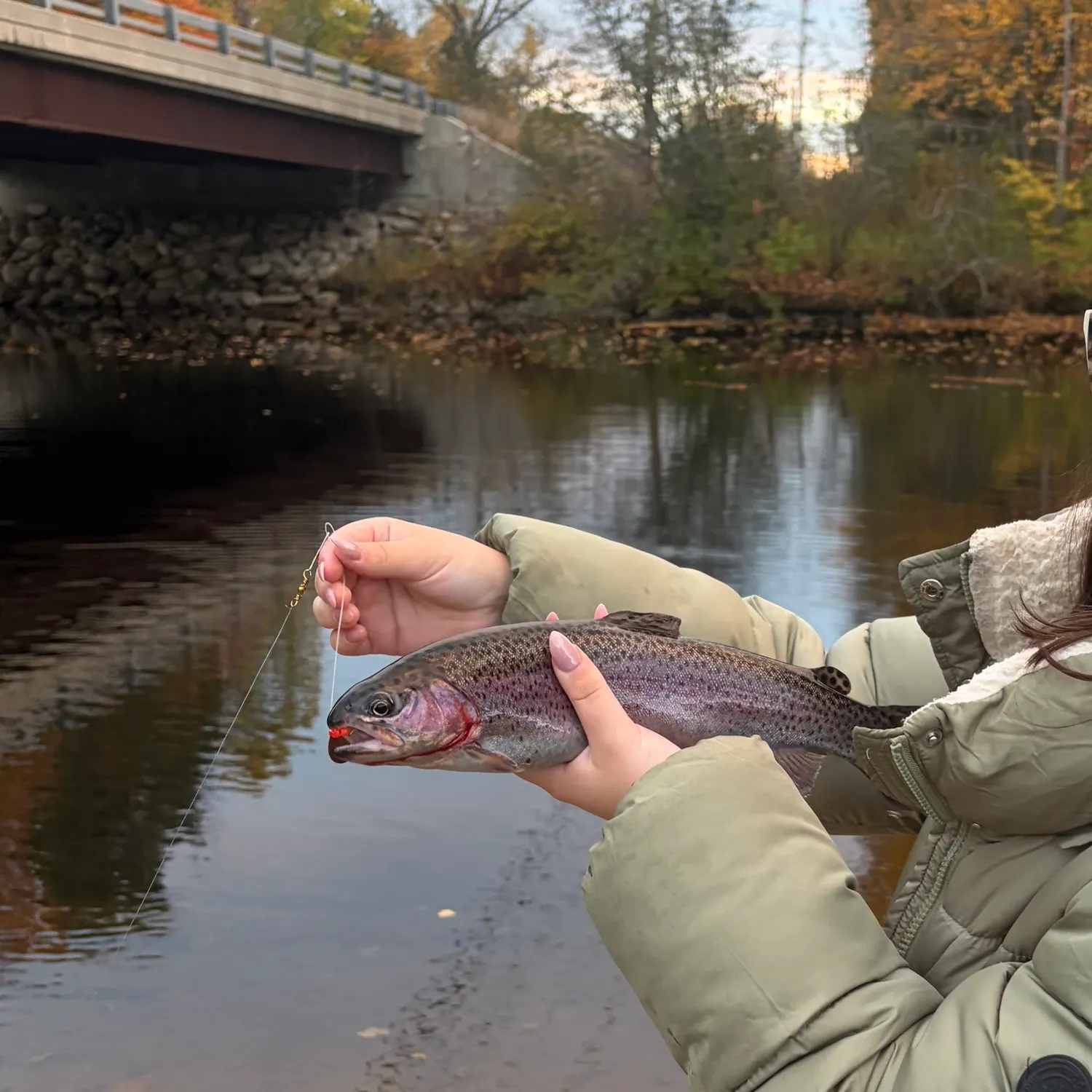 Rainbow trout caught on Fishbrain