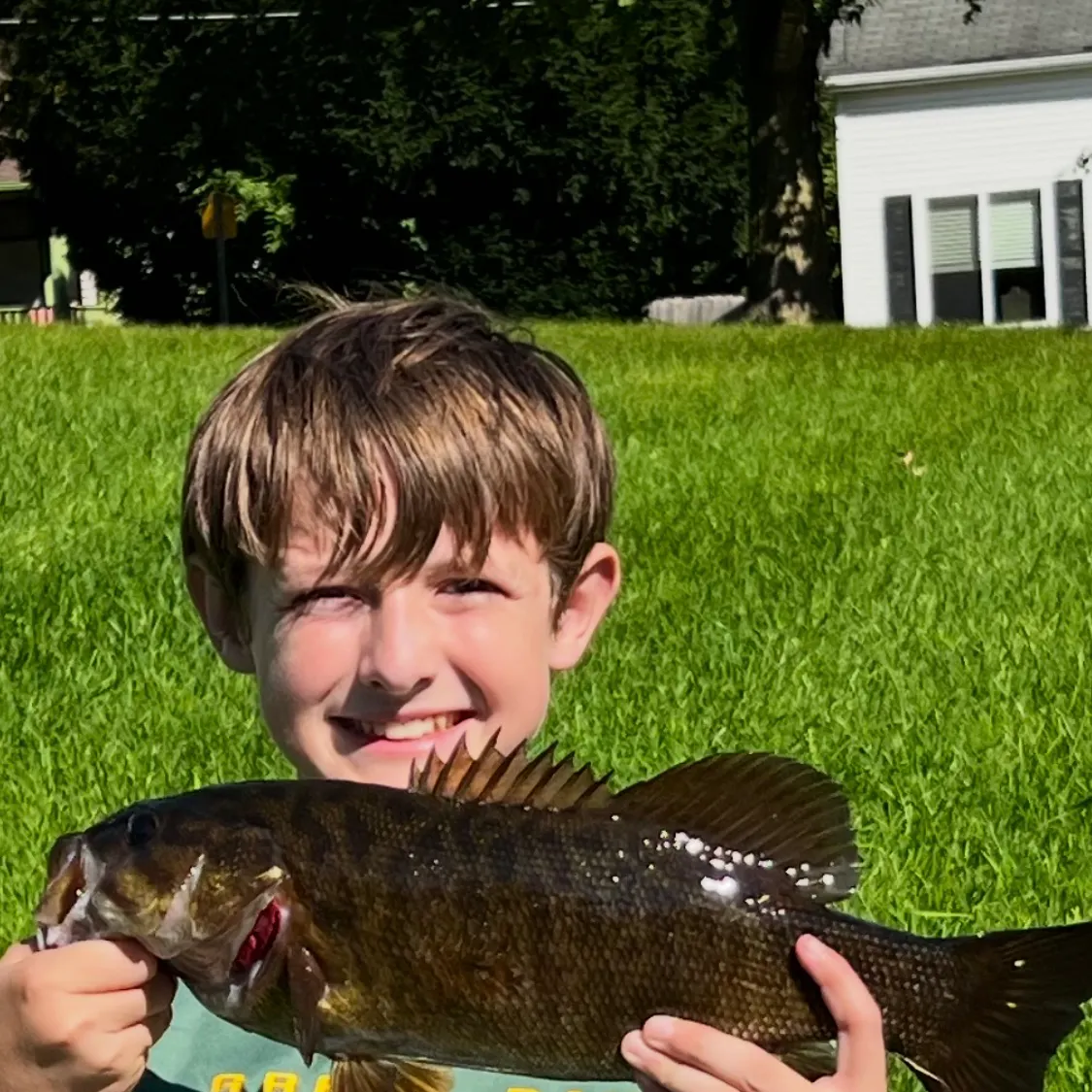 Smallmouth bass caught on Fishbrain