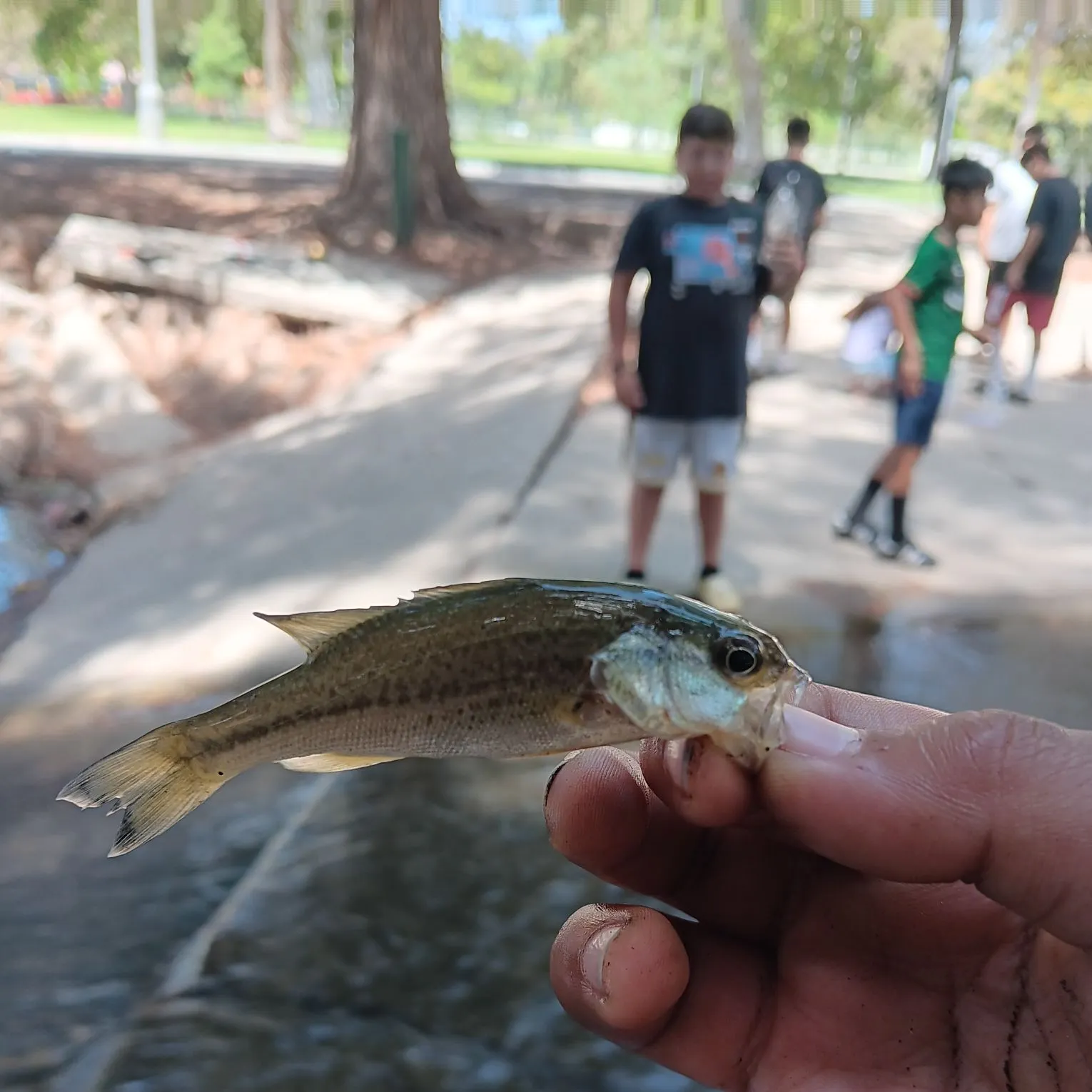 catch