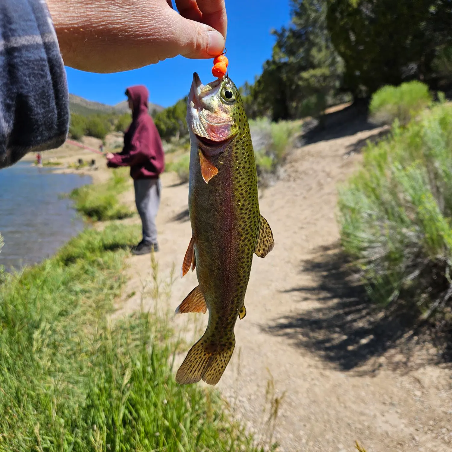 catch