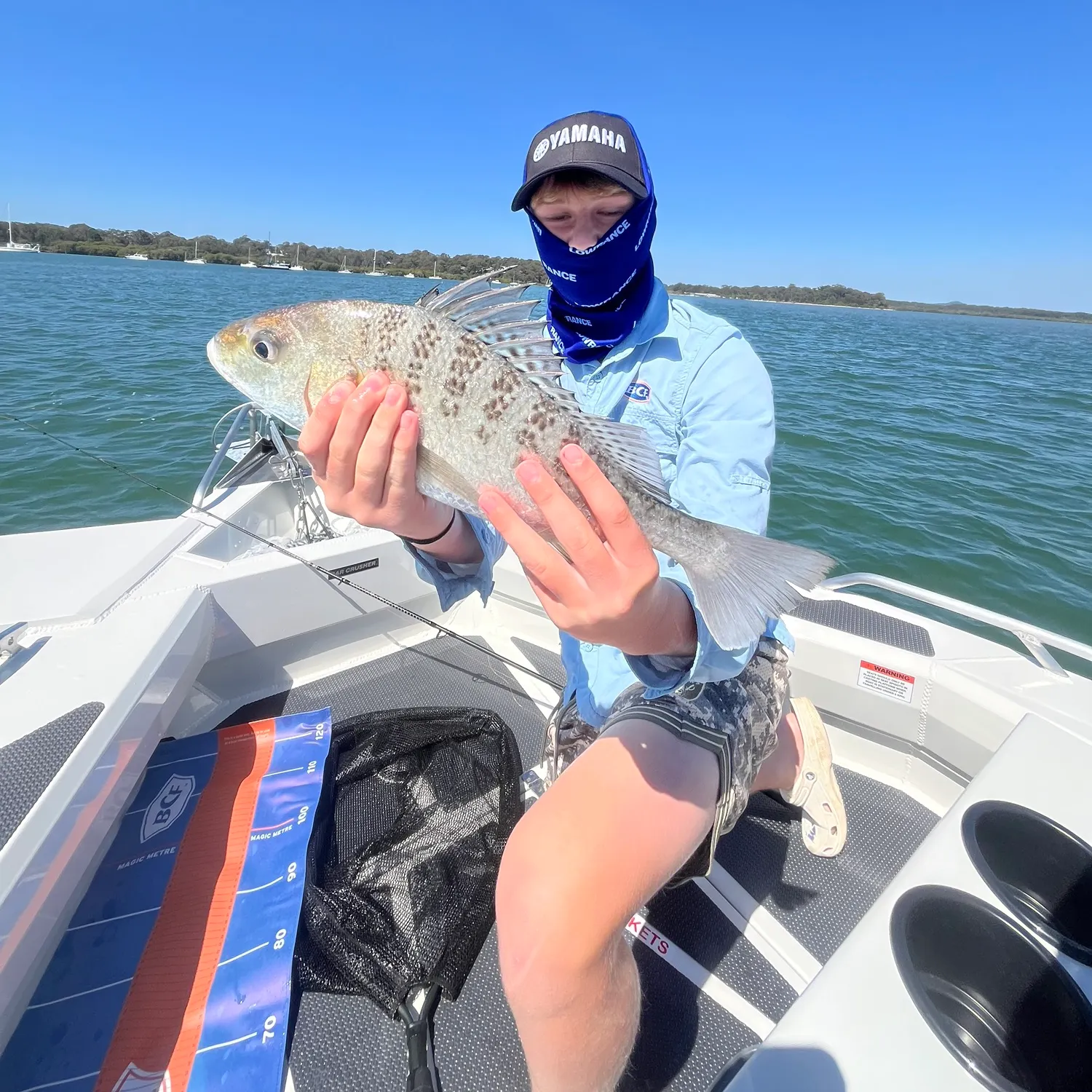 Javelin grunter caught on Fishbrain