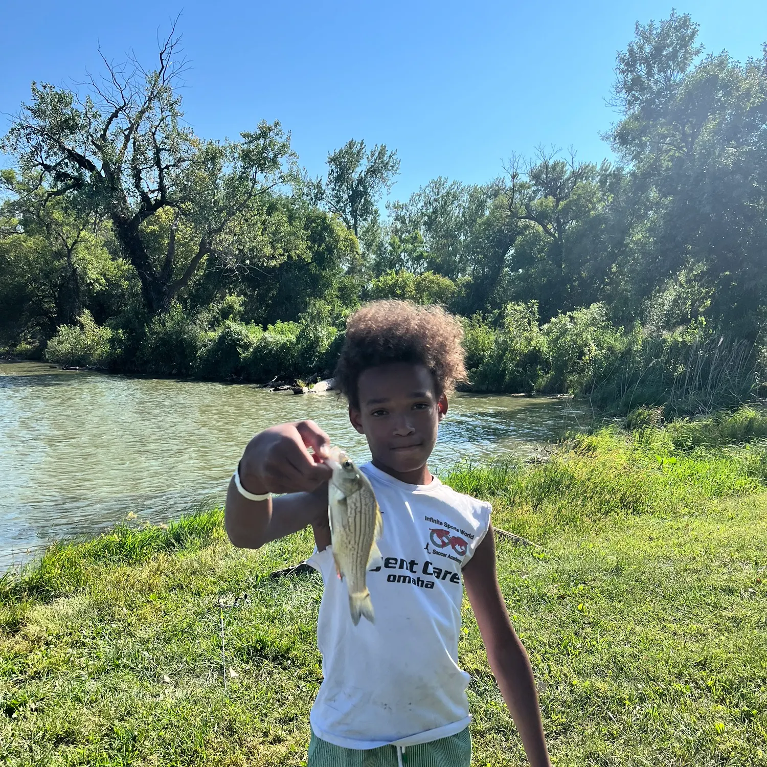 Striped bass caught on Fishbrain