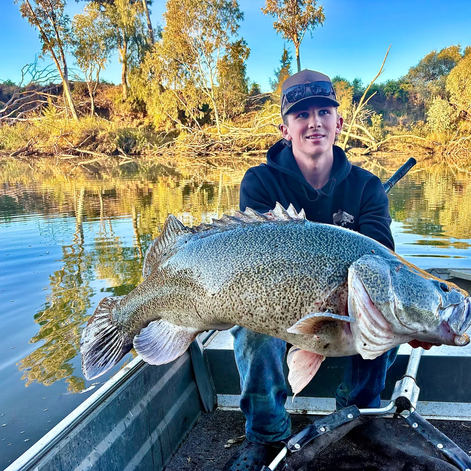 The most recent Murray cod catches on Fishbrain