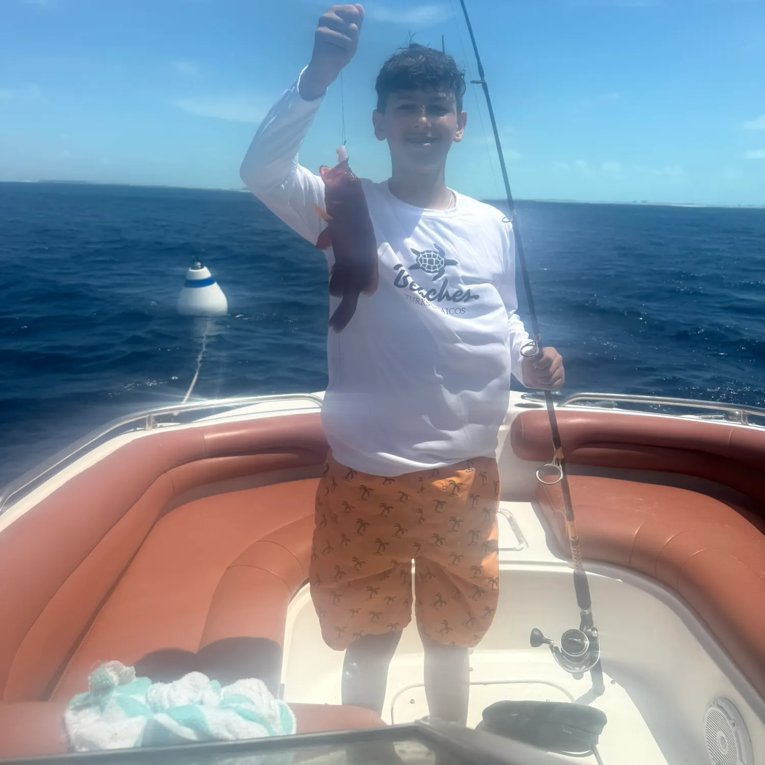 The most recent Strawberry hind catches on Fishbrain