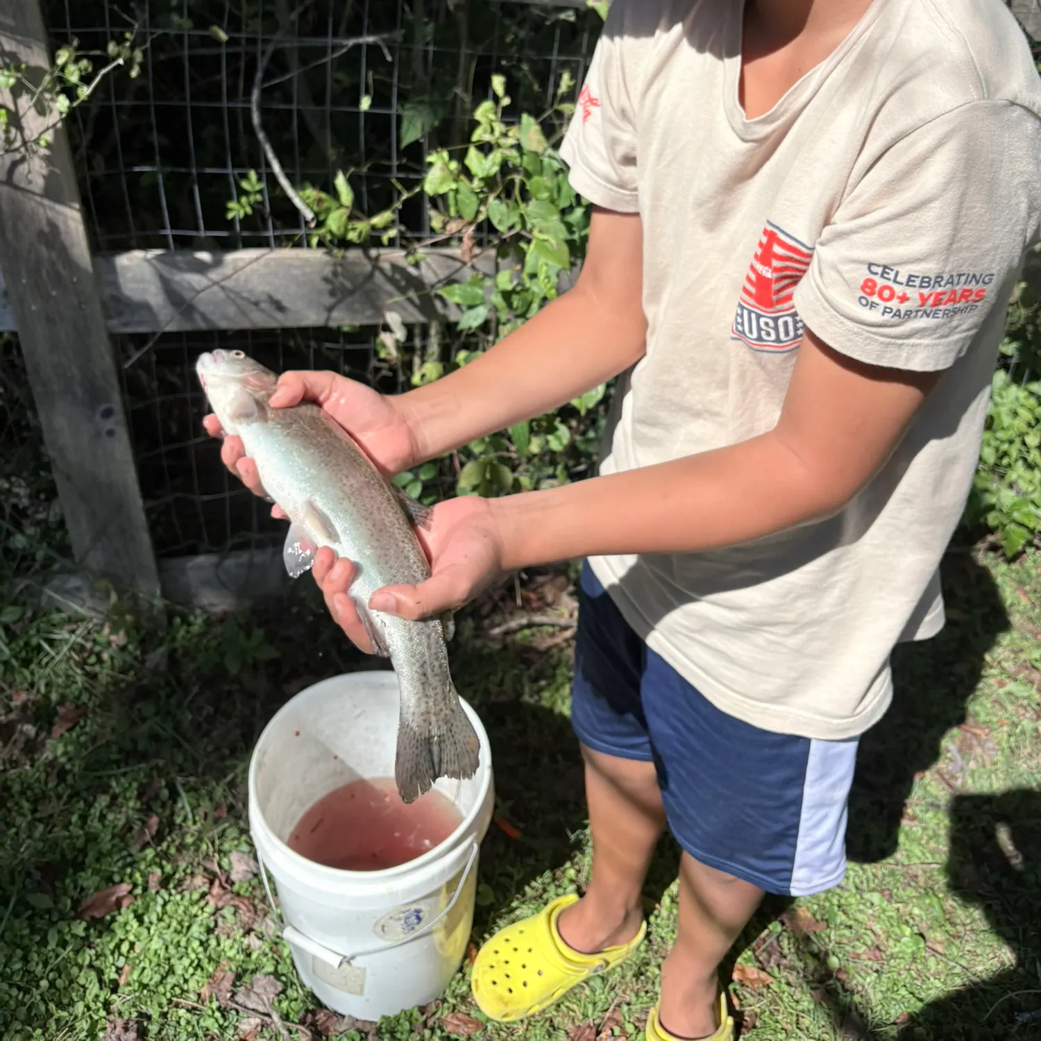 Rainbow trout caught on Fishbrain