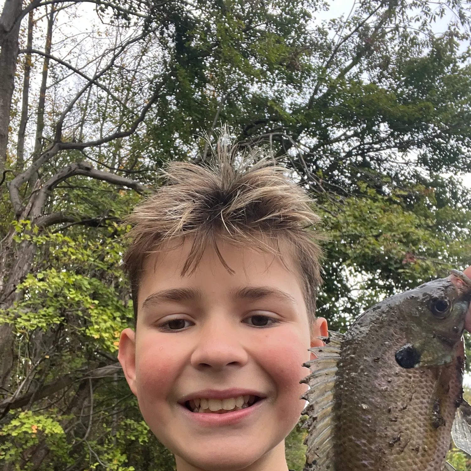 Wargill hybrid caught on Fishbrain