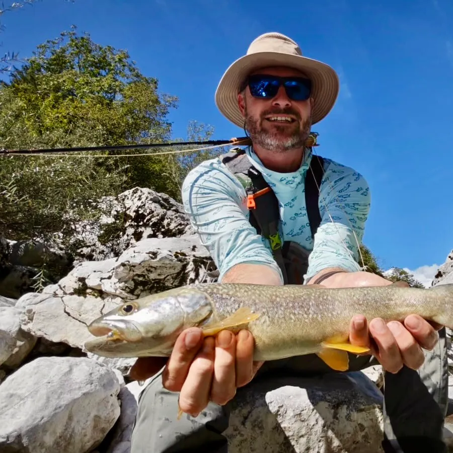 The most recent Marble trout catches on Fishbrain