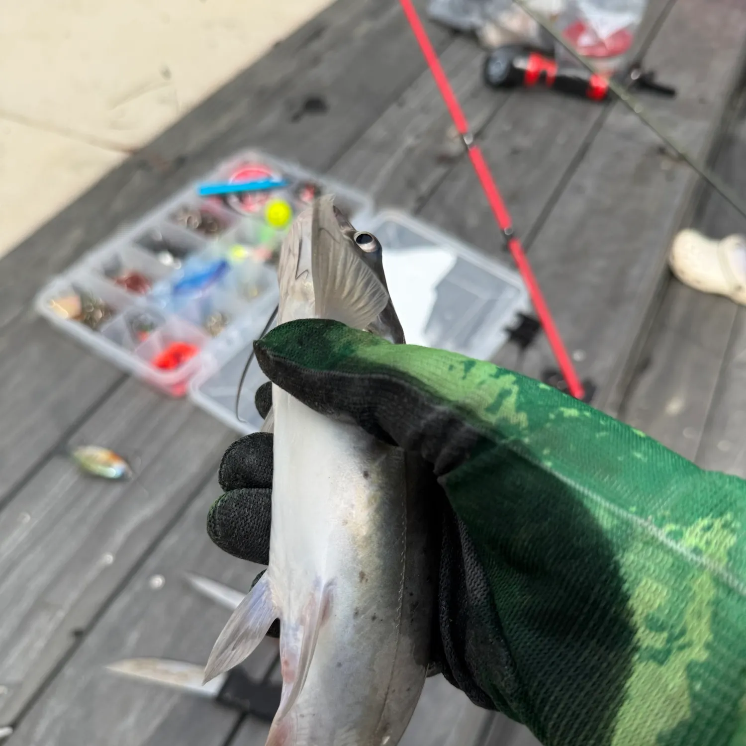 catch
