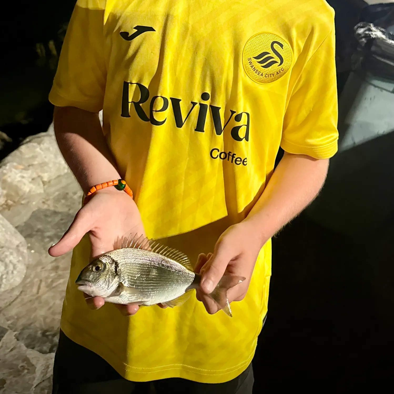 The most recent Goldlined seabream catches on Fishbrain
