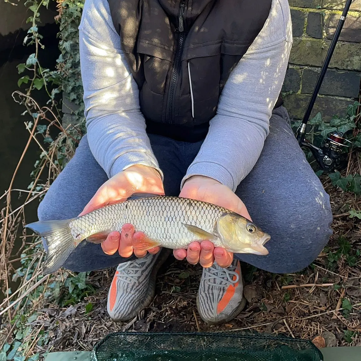 The most recent European chub catches on Fishbrain