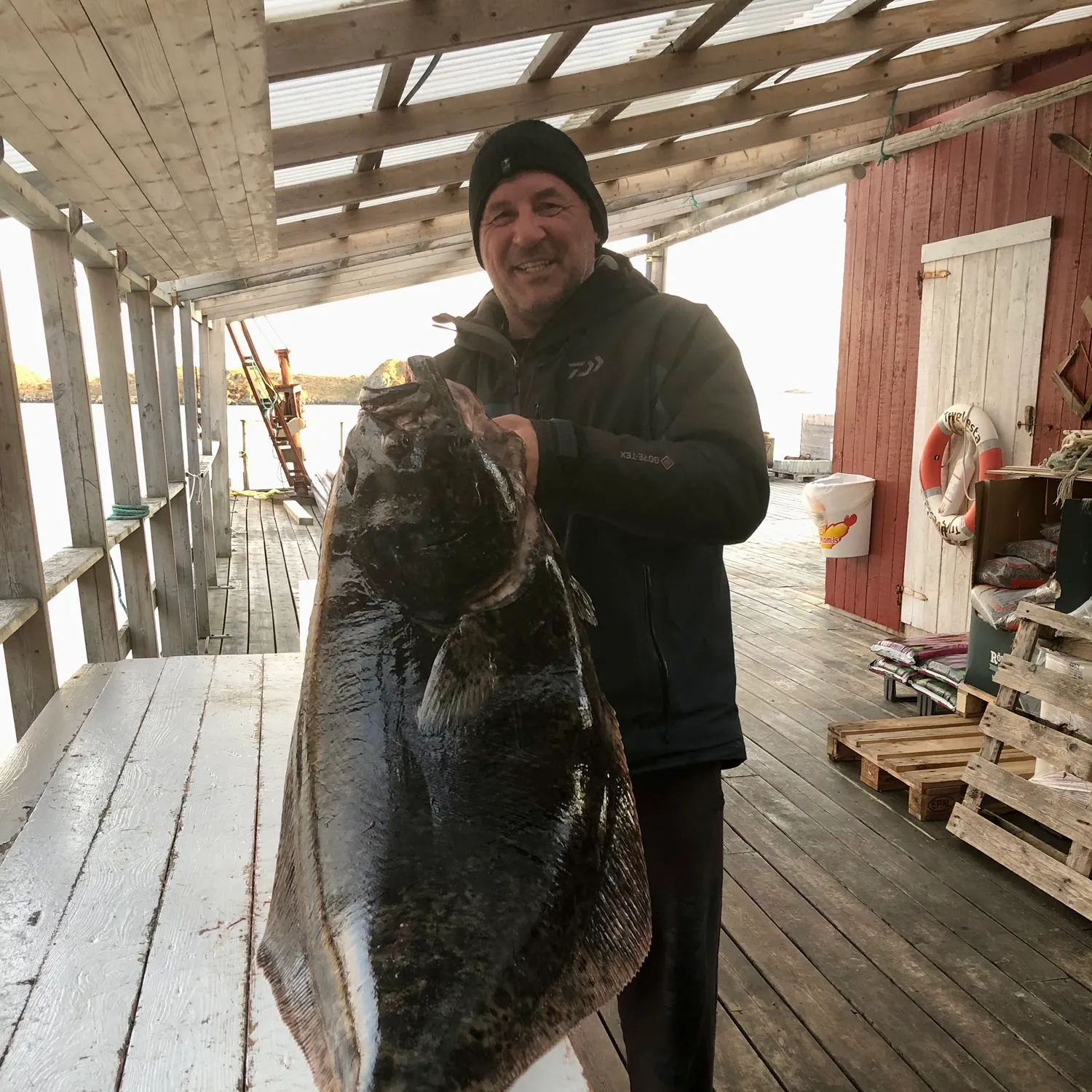 The most recent Atlantic halibut catches on Fishbrain