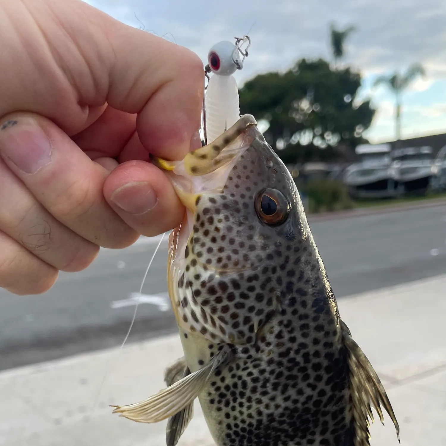 catch