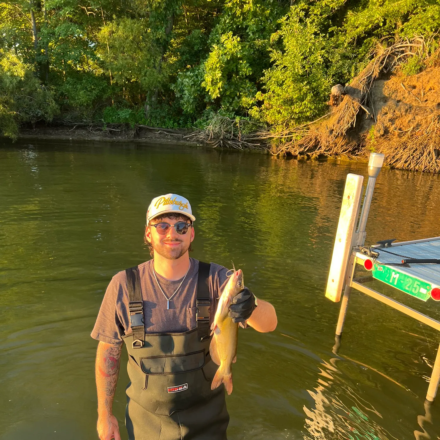 Channel catfish caught on Fishbrain