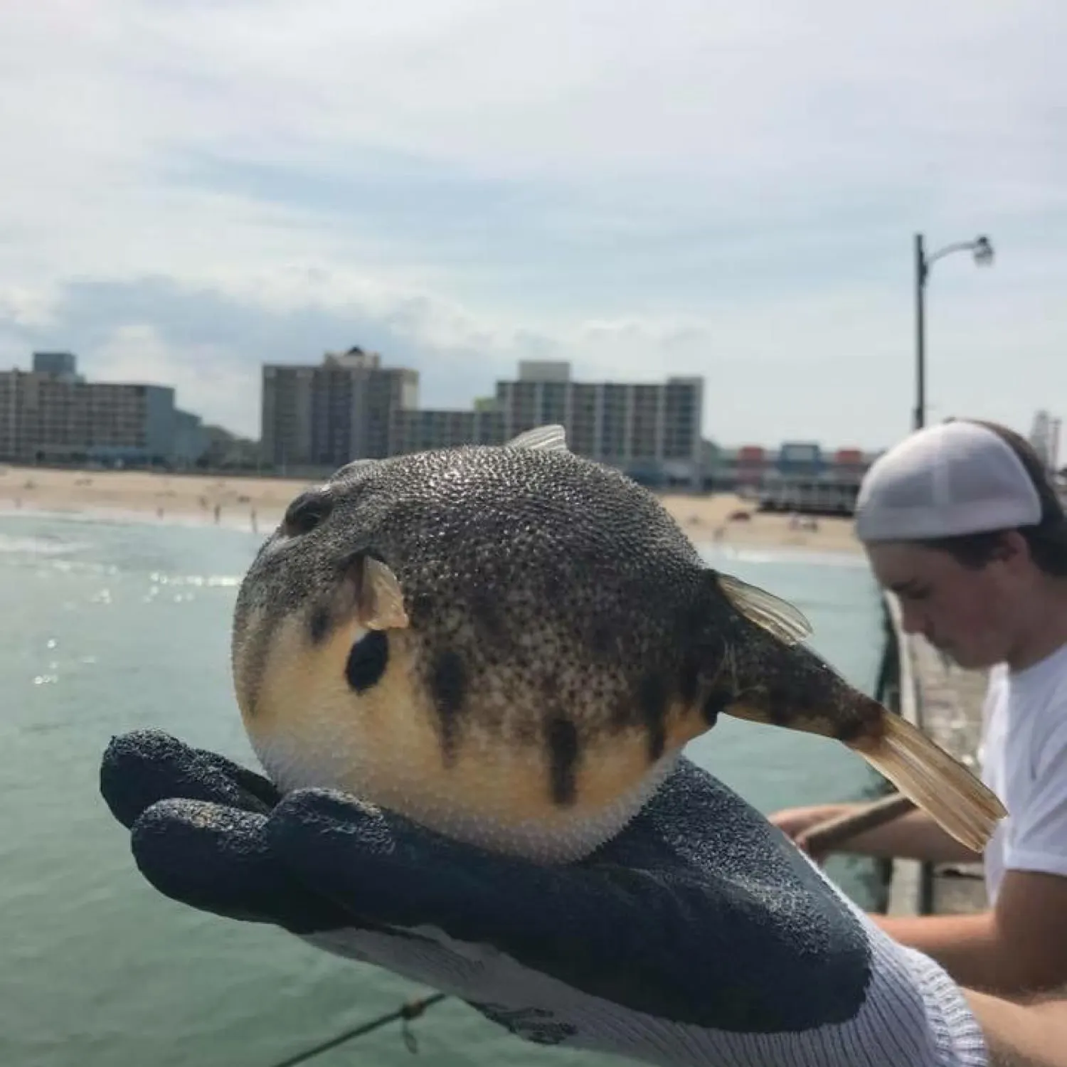 most liked catch image