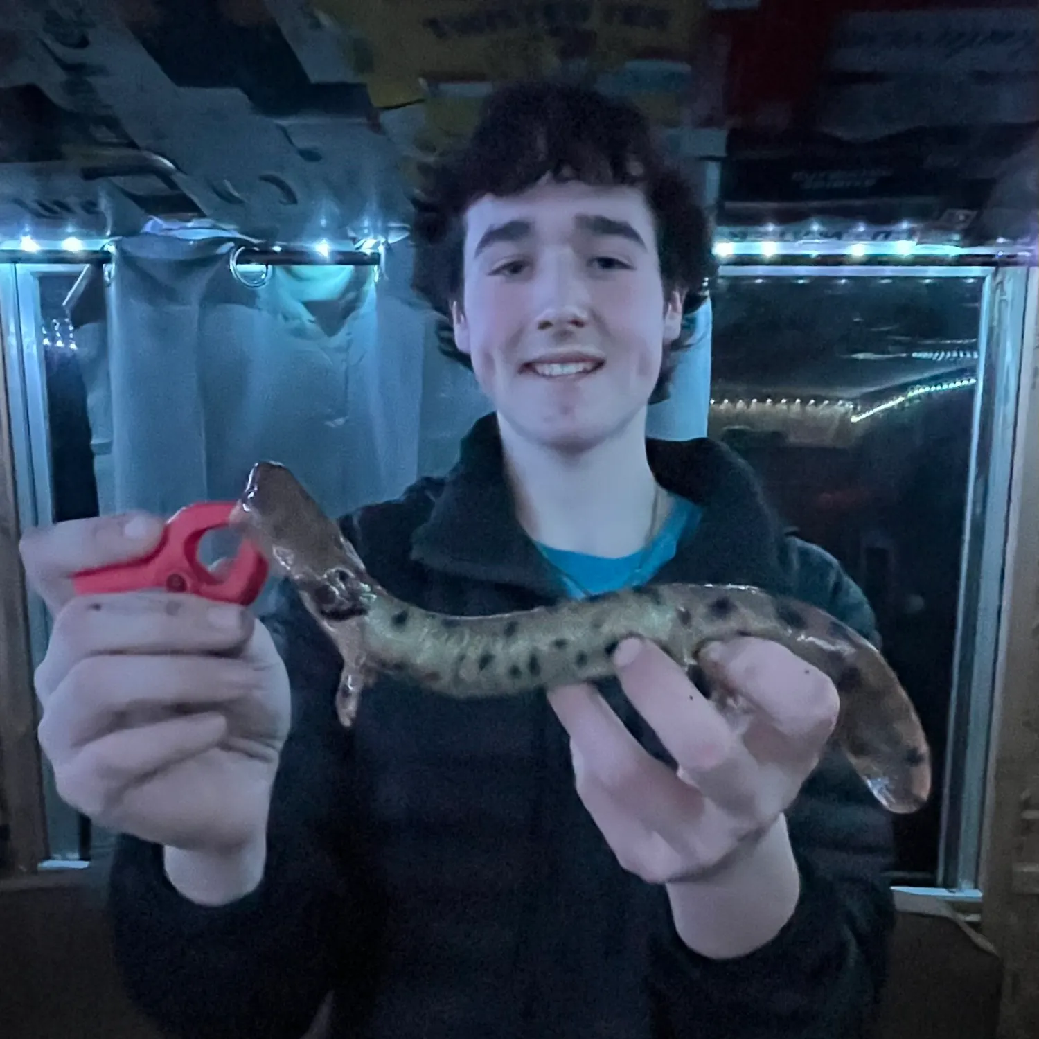 The most recent Common mudpuppy catches on Fishbrain