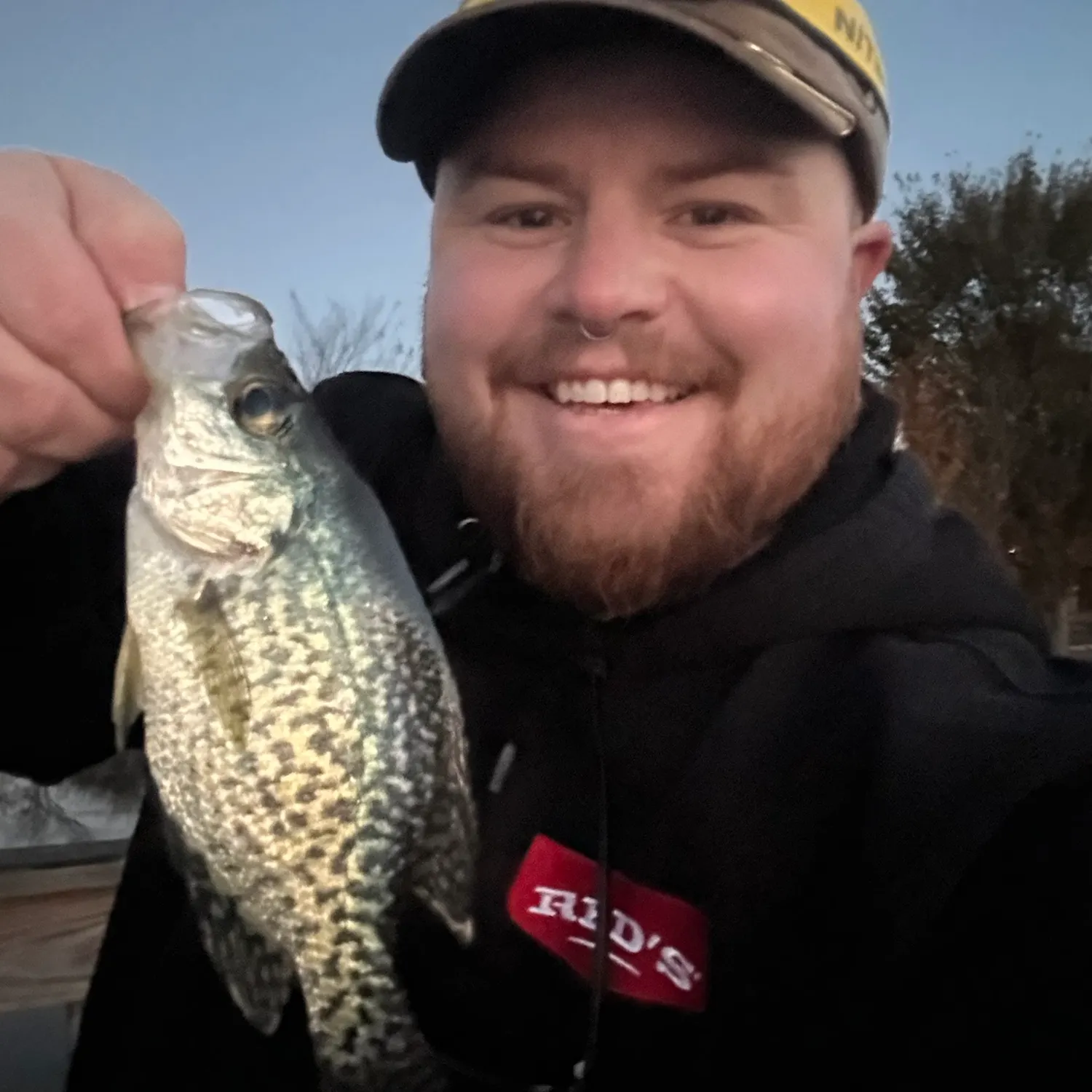 Black crappie caught on Fishbrain
