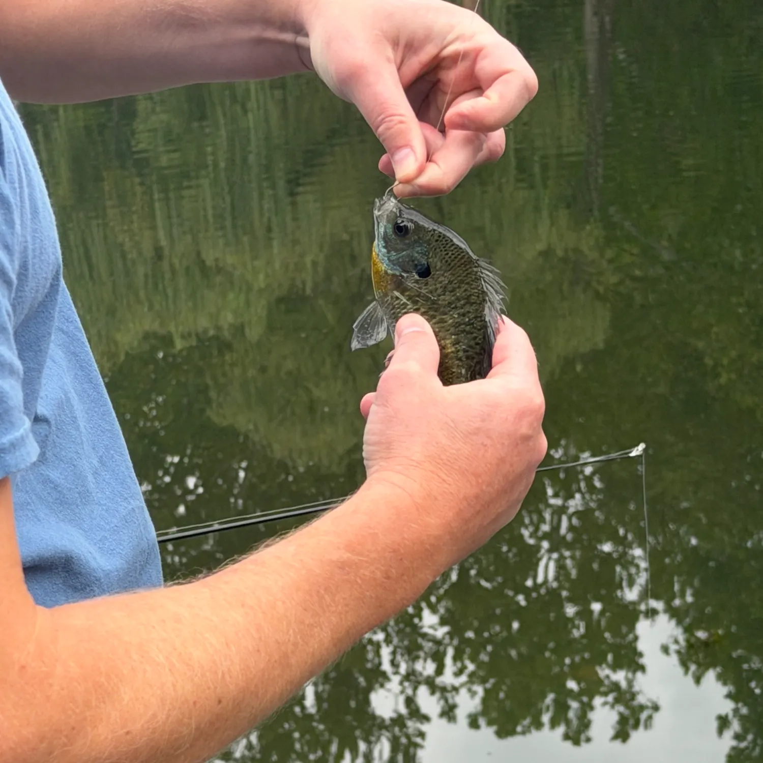 Fish caught on Fishbrain