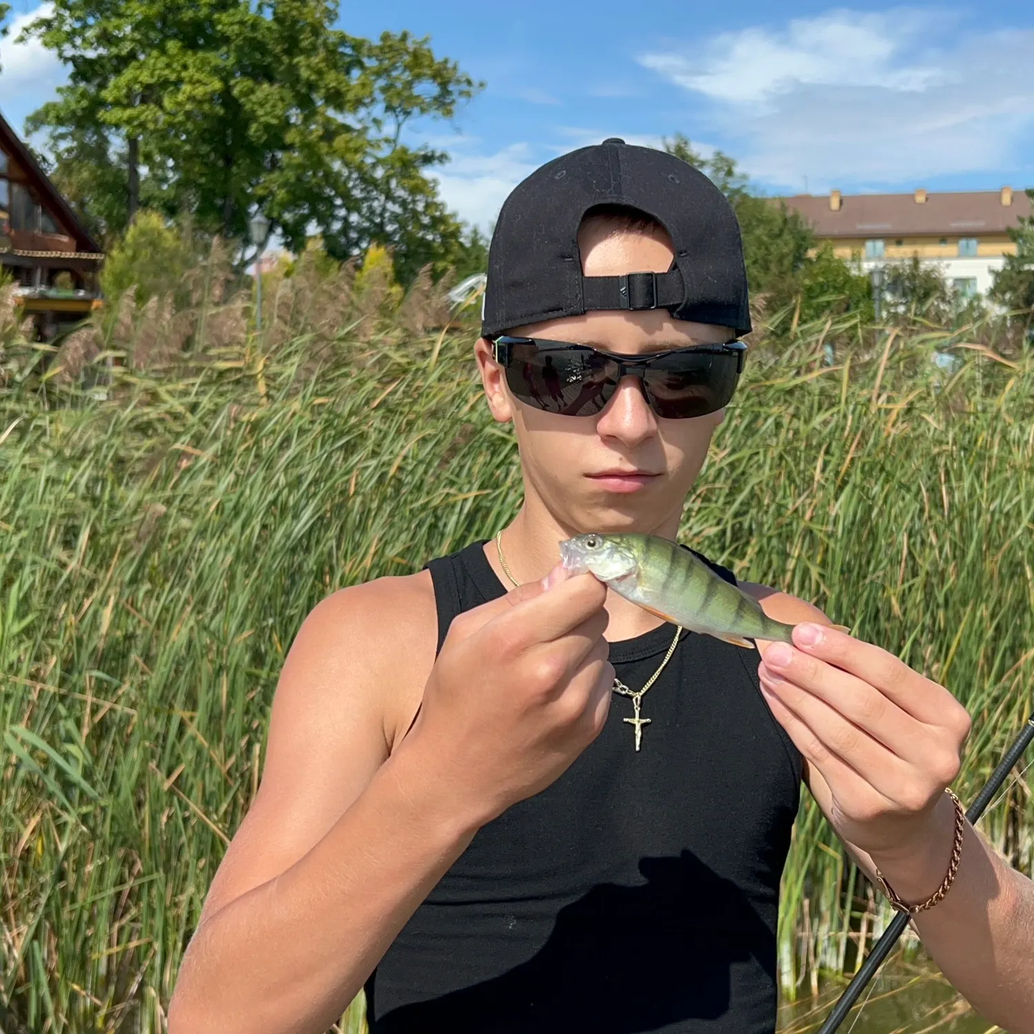 European perch caught on Fishbrain