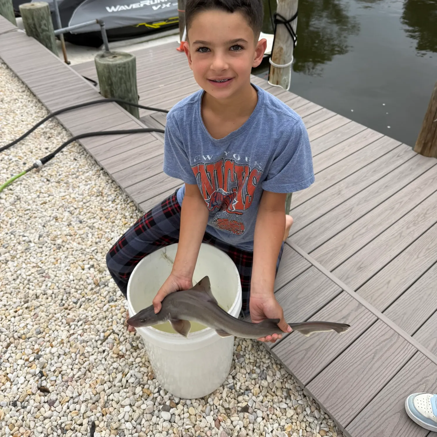 The most recent Grey smooth-hound catches on Fishbrain