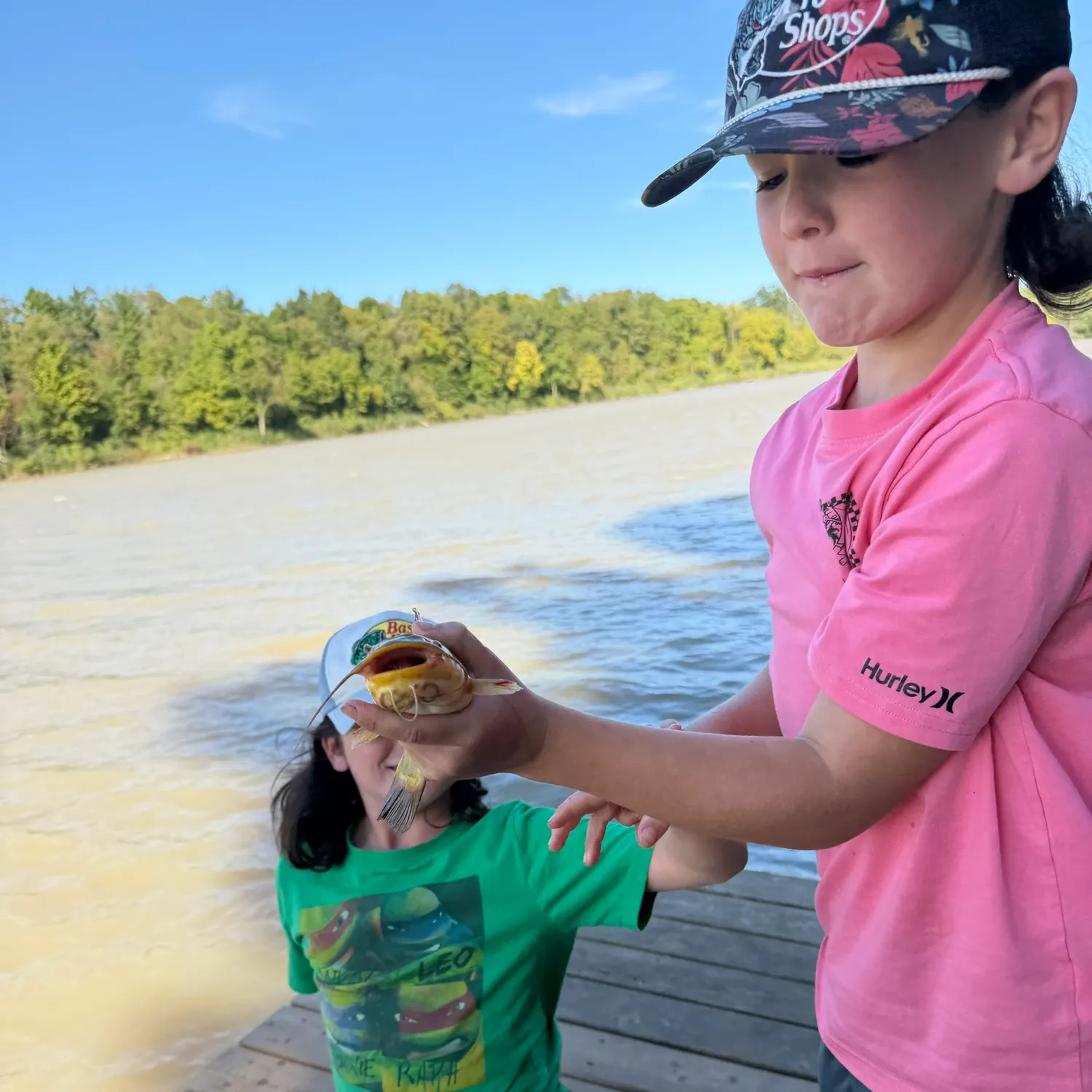 Yellow bullhead caught on Fishbrain