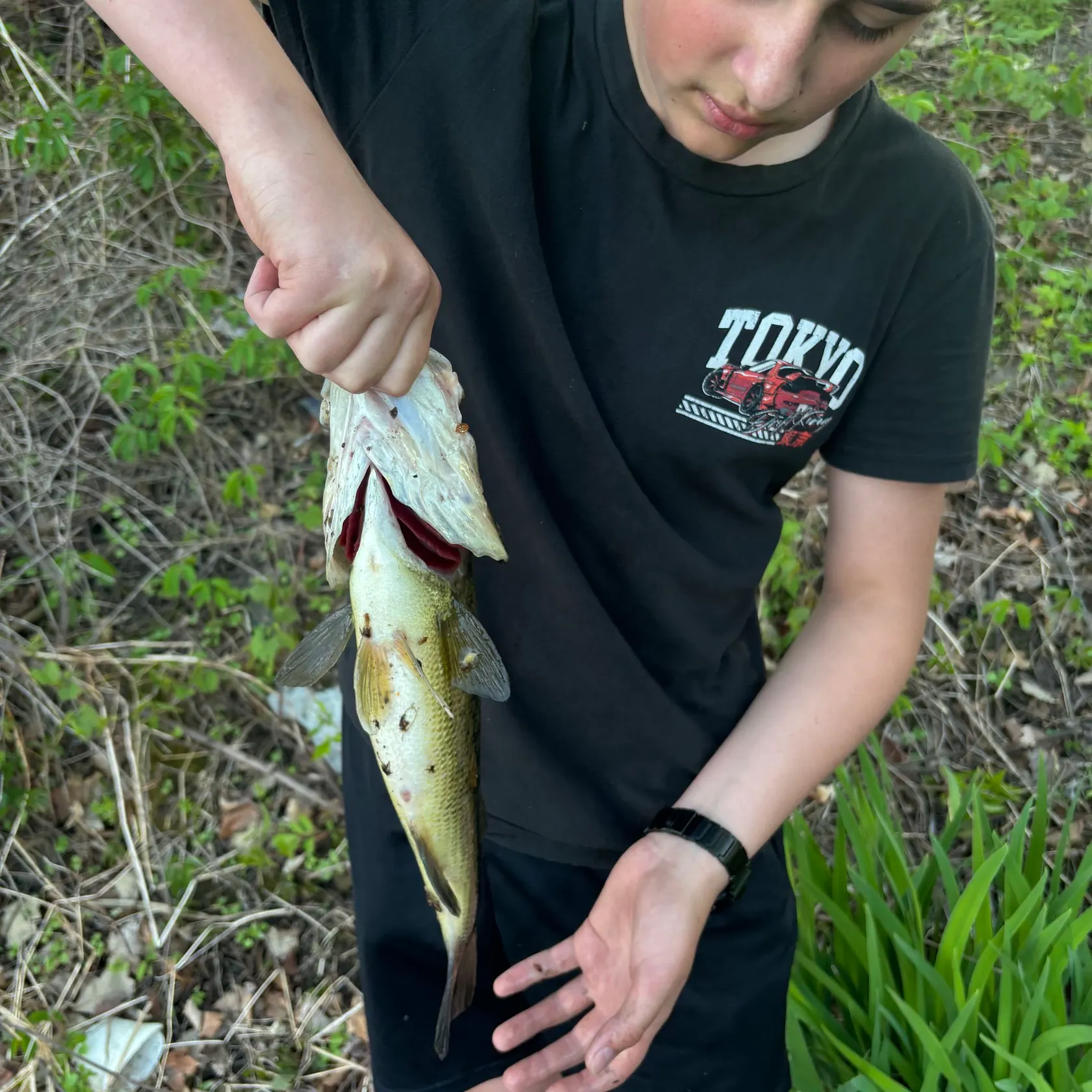 catch