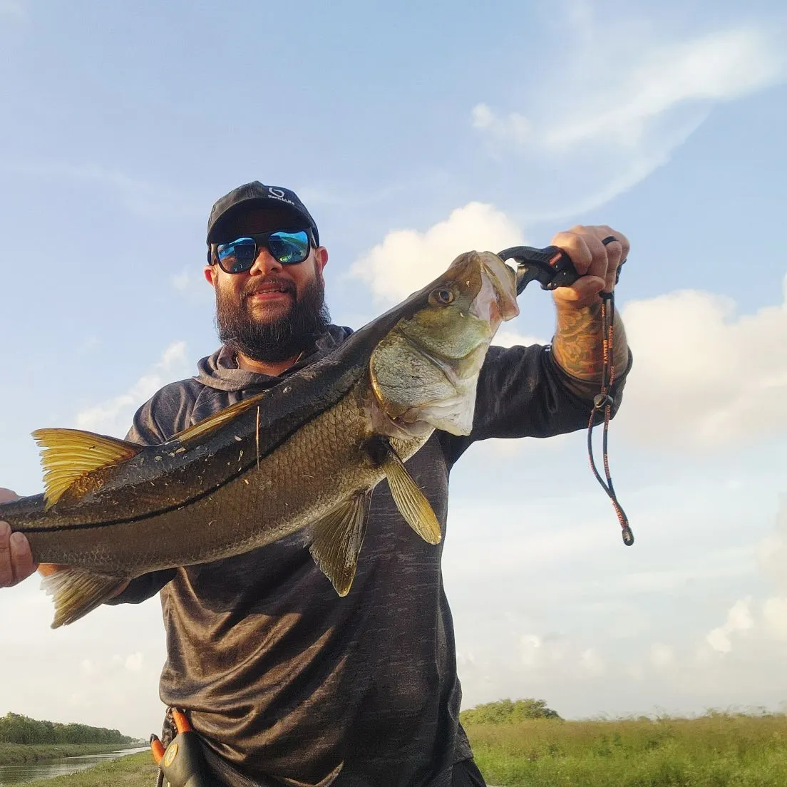 The most recent Common snook catches on Fishbrain