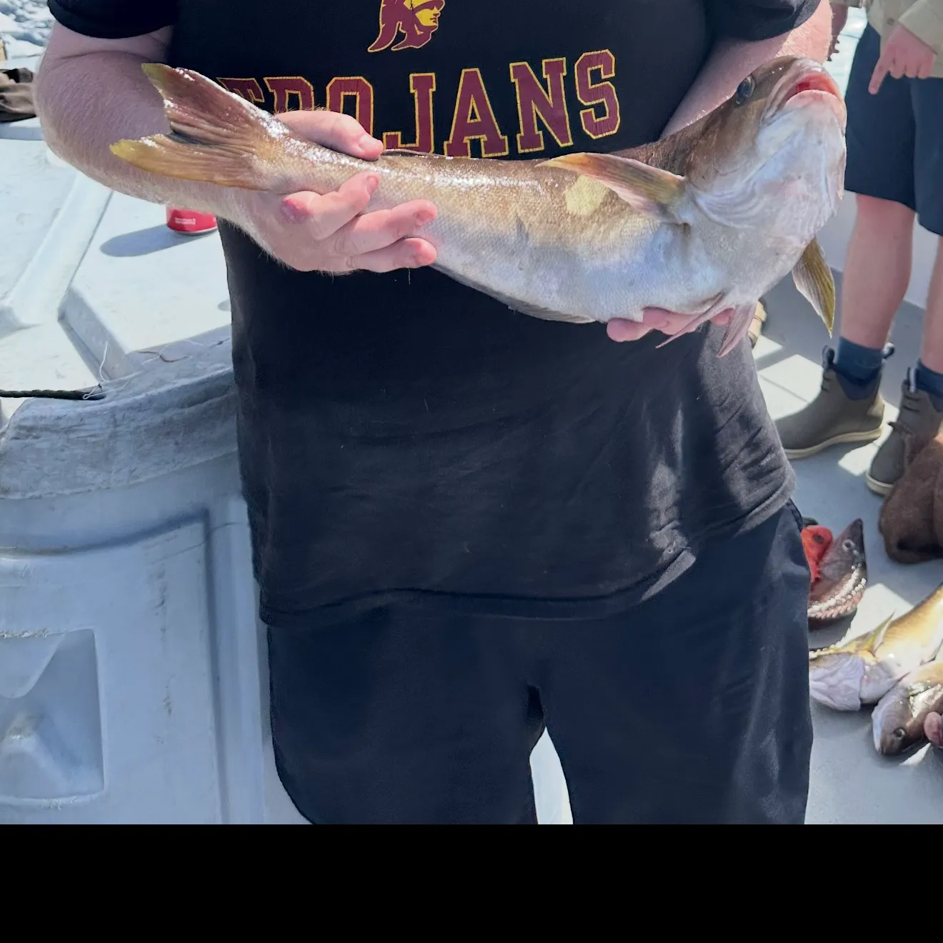 Ocean whitefish caught on Fishbrain