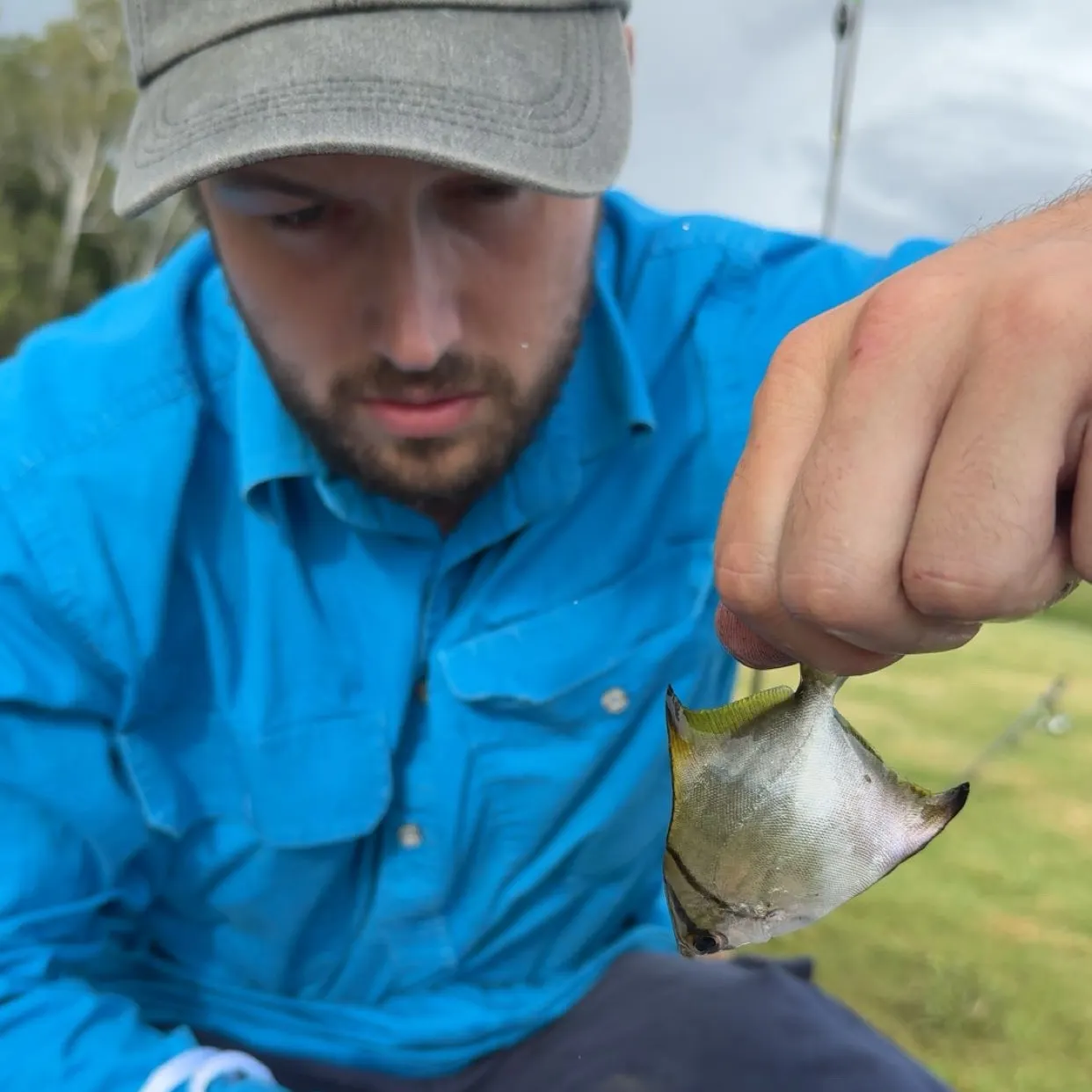 The most recent Silver moony catches on Fishbrain