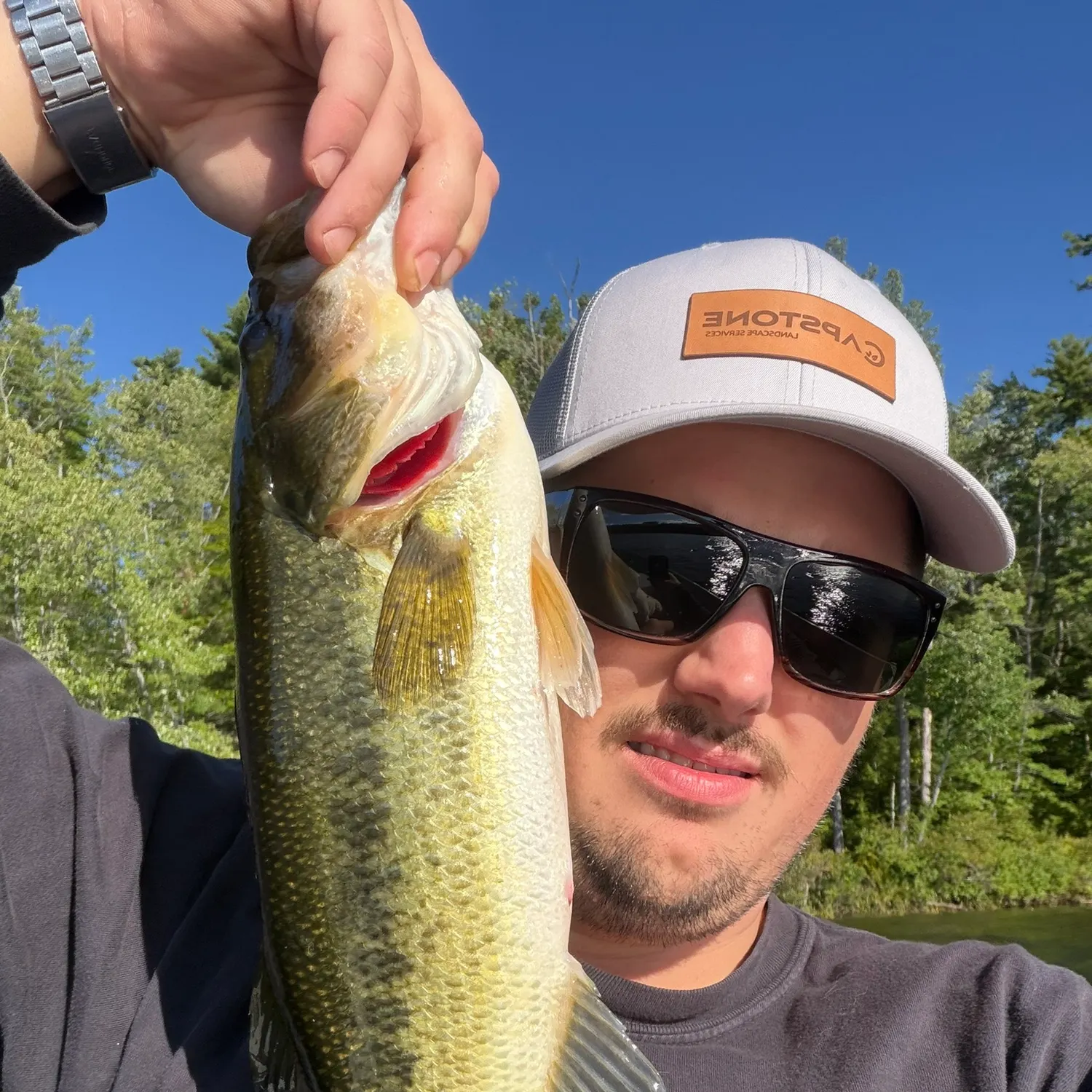 Largemouth bass caught on Fishbrain