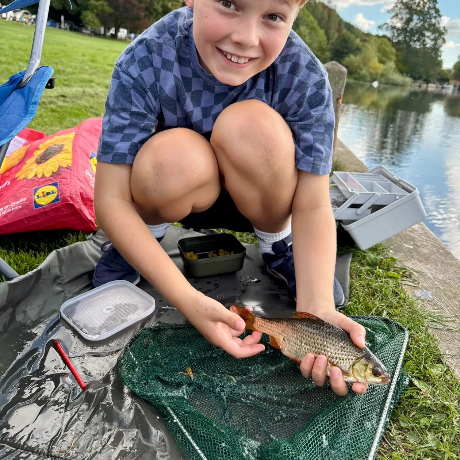 Common roach caught on Fishbrain