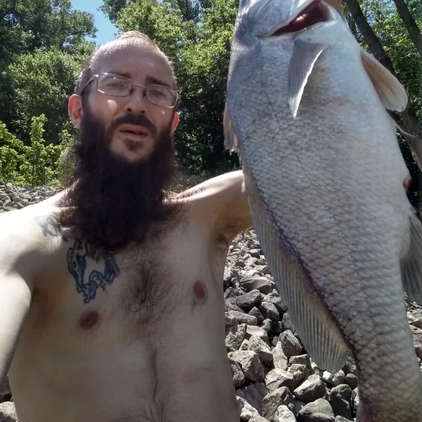 Freshwater drum caught on Fishbrain
