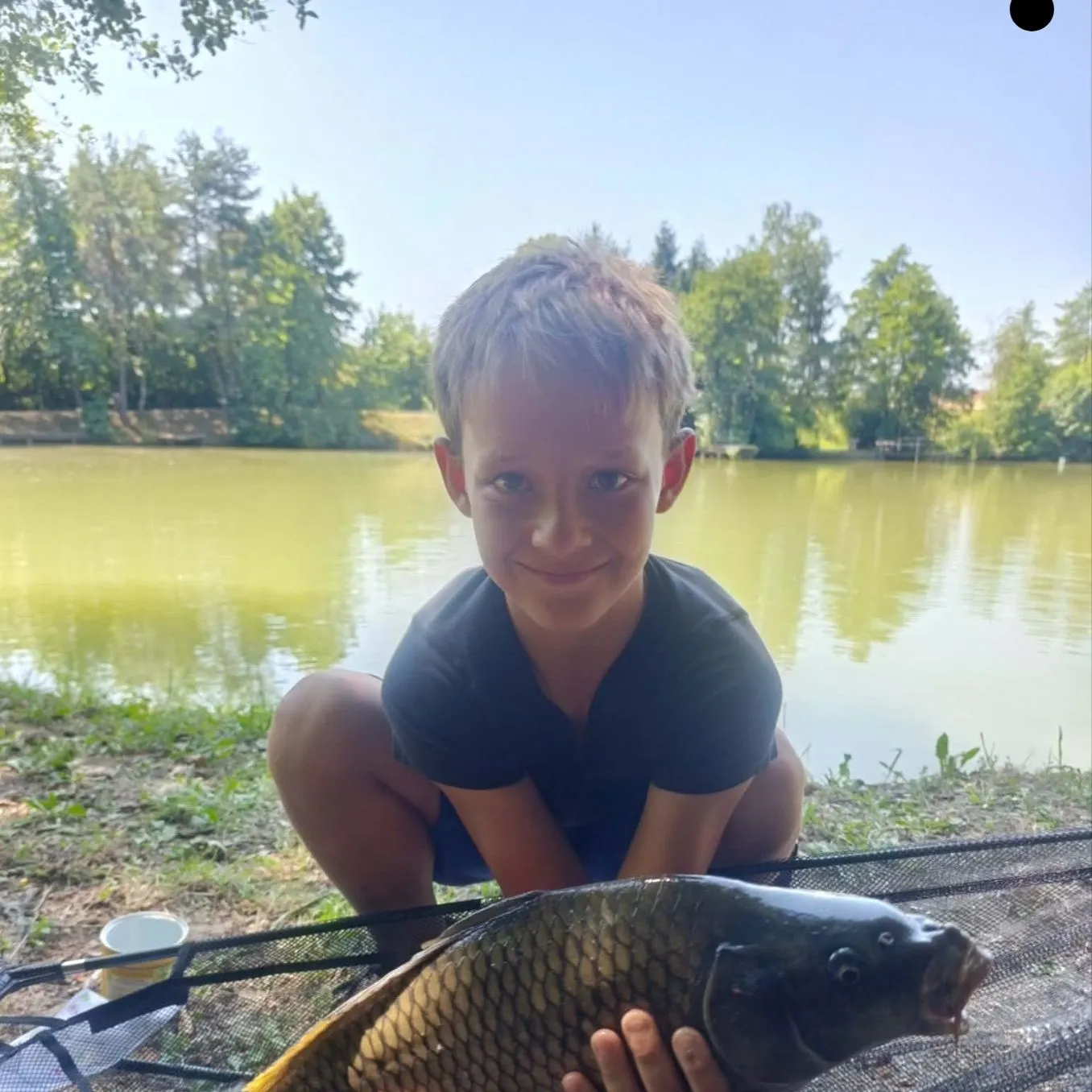 Common carp caught on Fishbrain