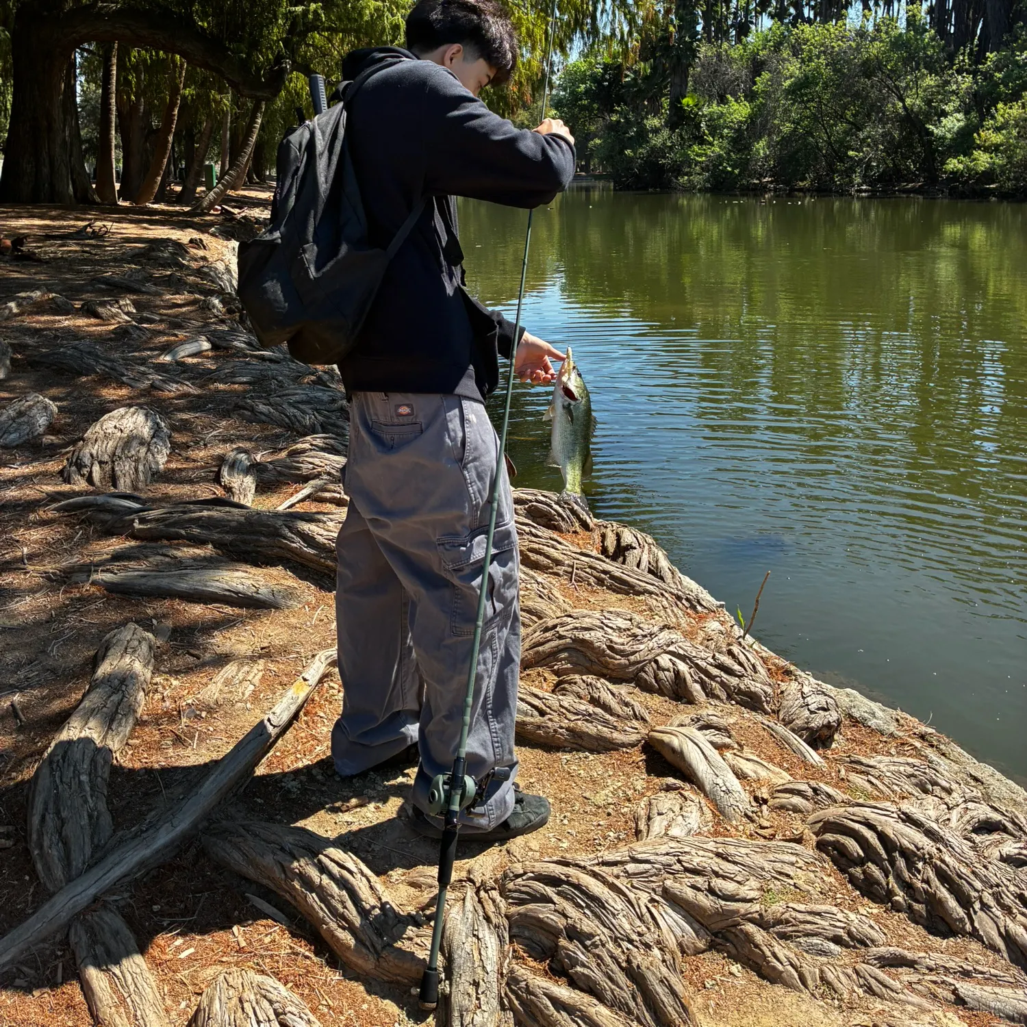 recently logged catches