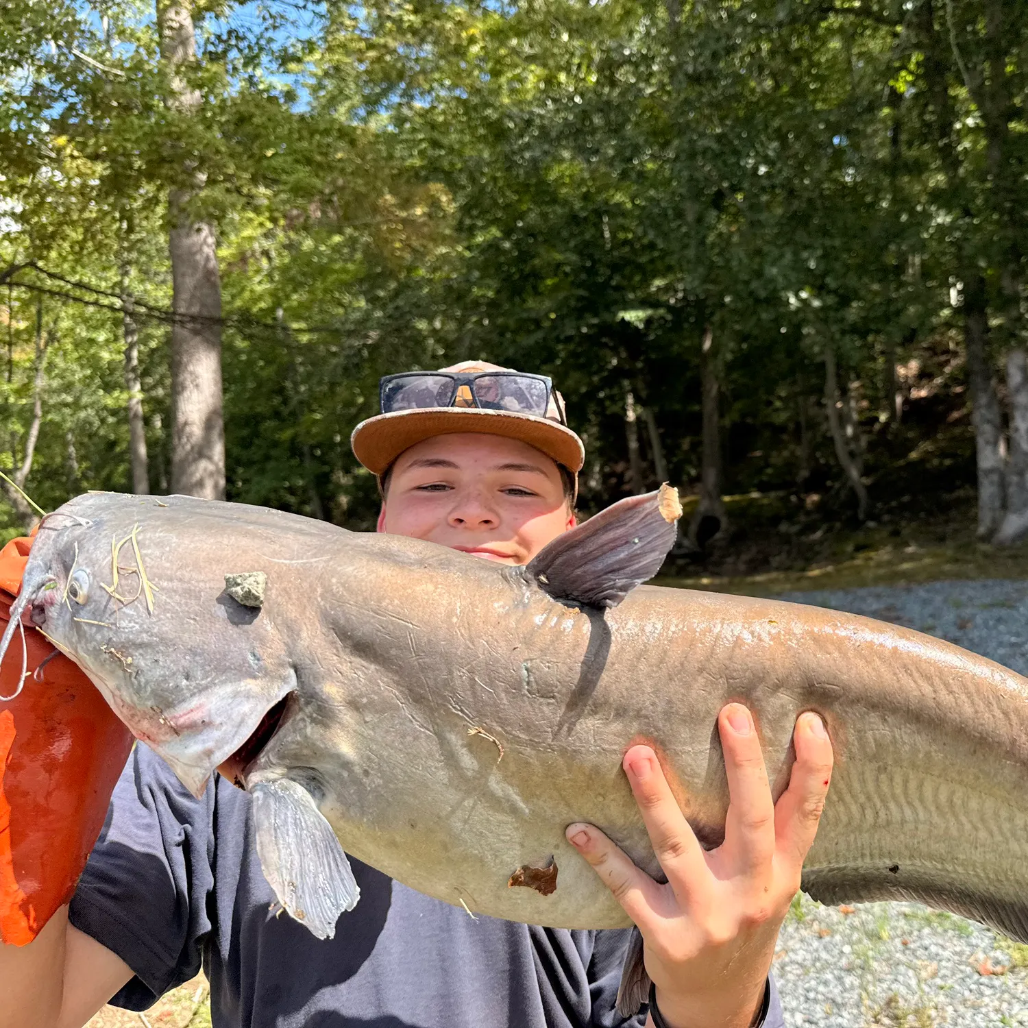 Blue catfish caught on Fishbrain