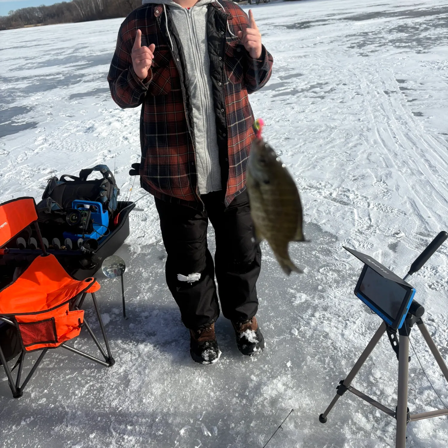 The most recent Bluegill catches on Fishbrain