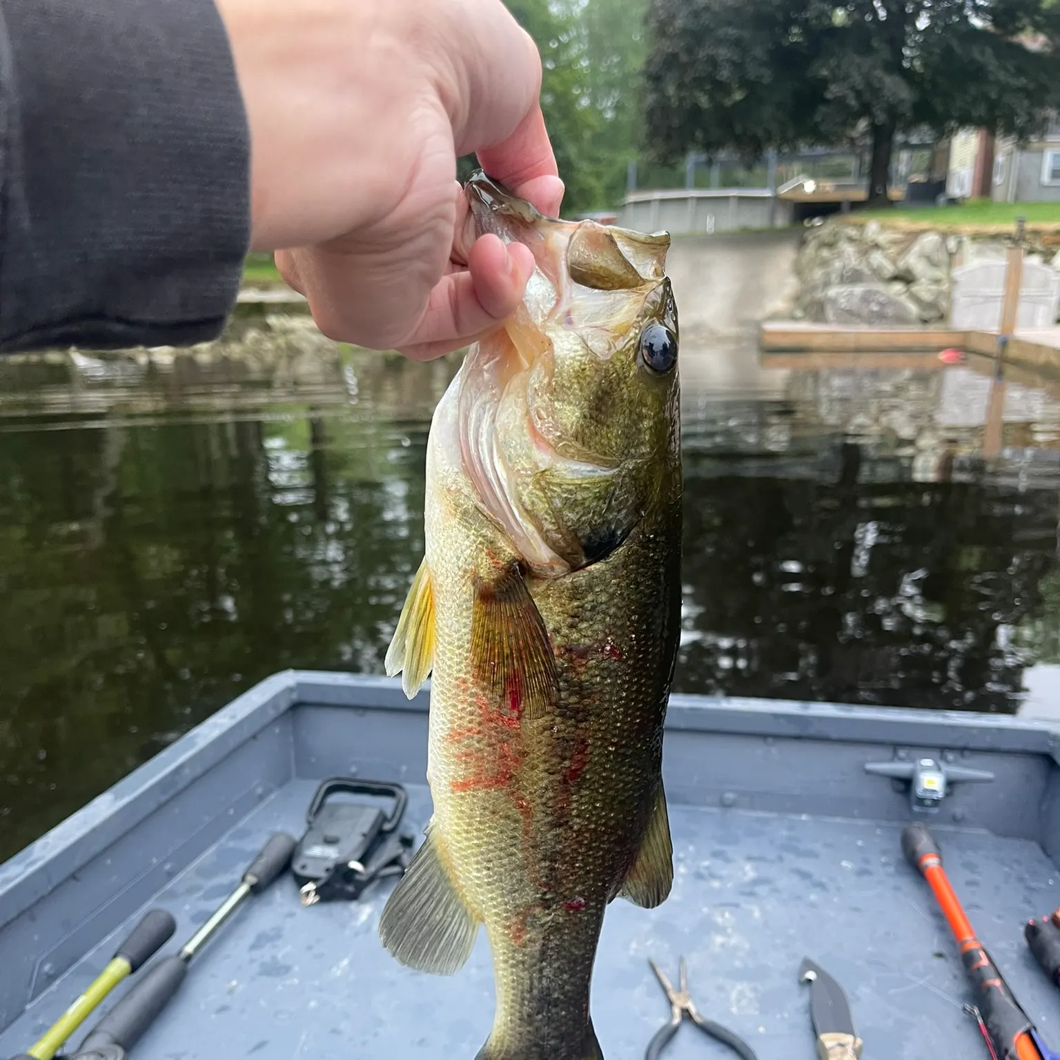 catch
