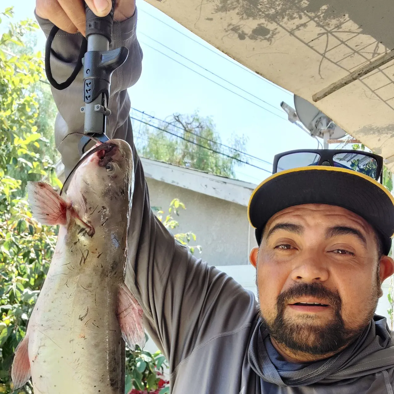 Channel catfish caught on Fishbrain