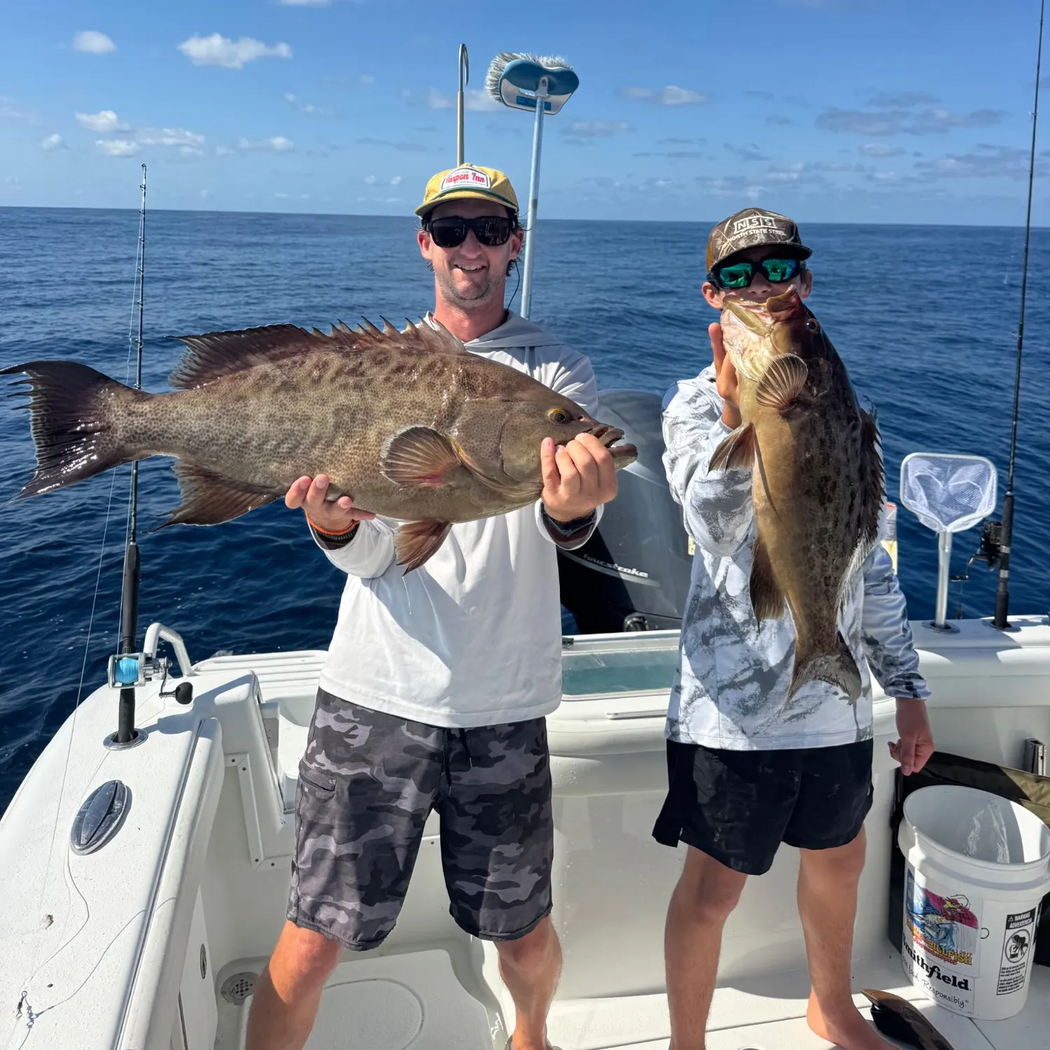 The most recent Scamp grouper catches on Fishbrain