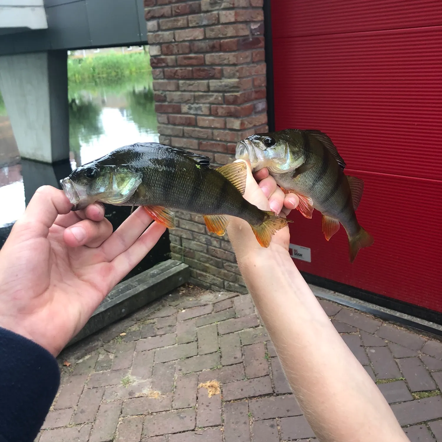catch