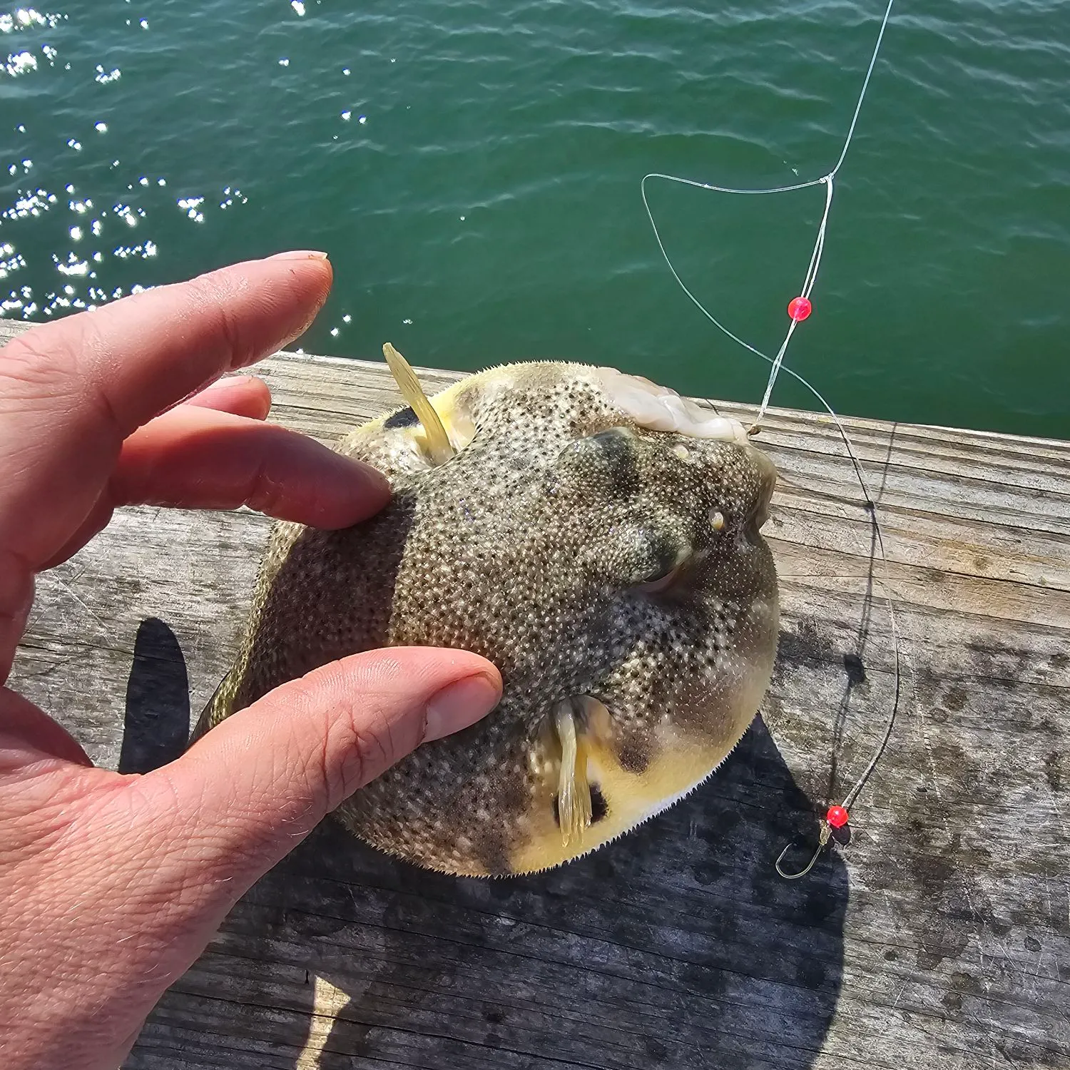 catch
