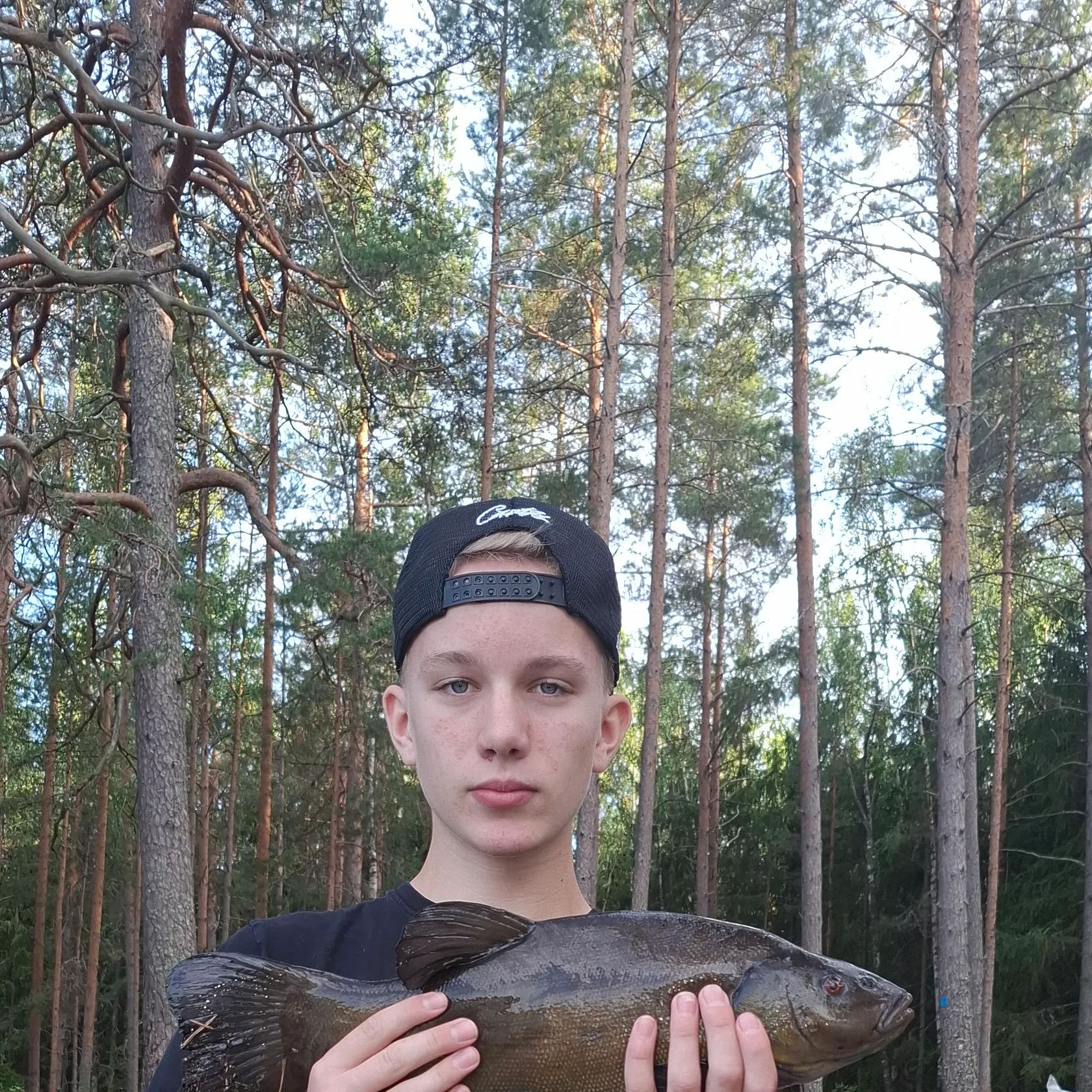 Tench caught on Fishbrain
