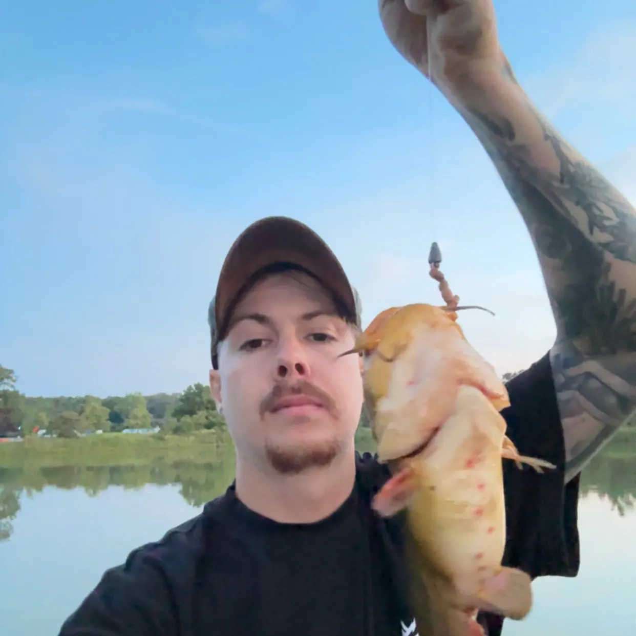 Yellow bullhead caught on Fishbrain