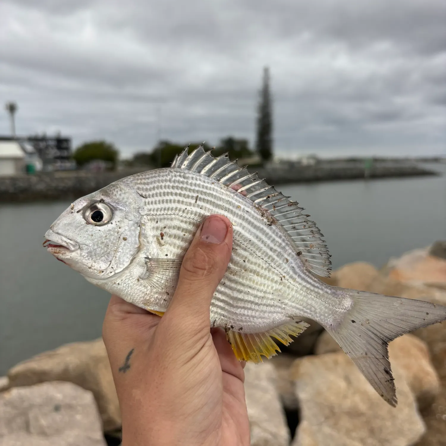catch