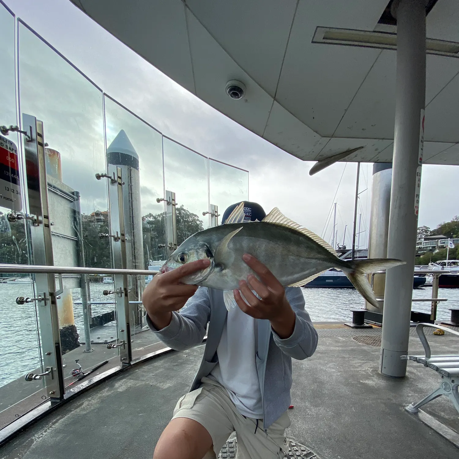 The most recent Golden trevally catches on Fishbrain