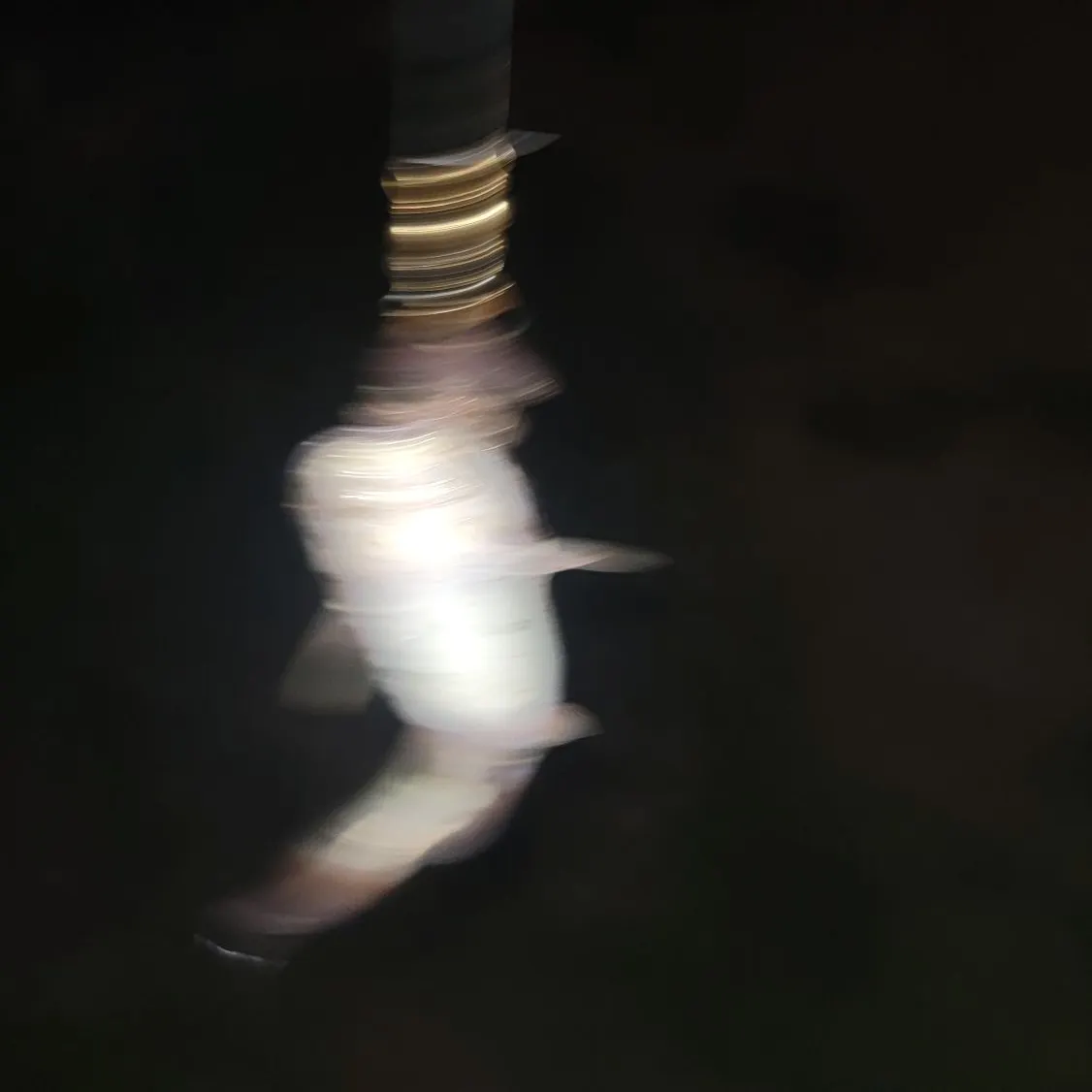 Channel catfish caught on Fishbrain