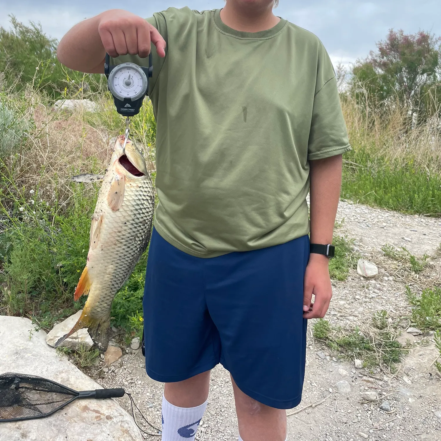 catch