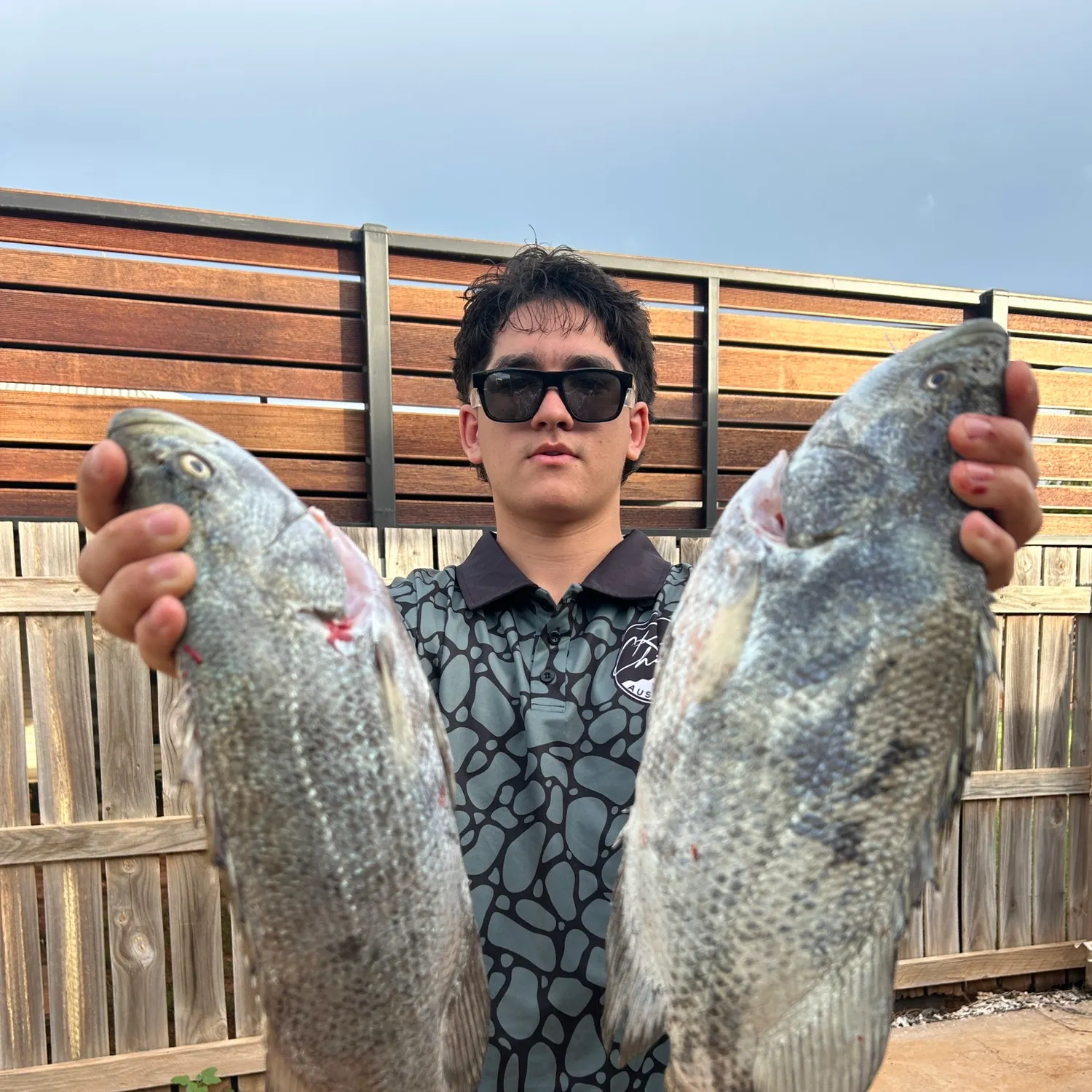 The most recent Atlantic tripletail catches on Fishbrain