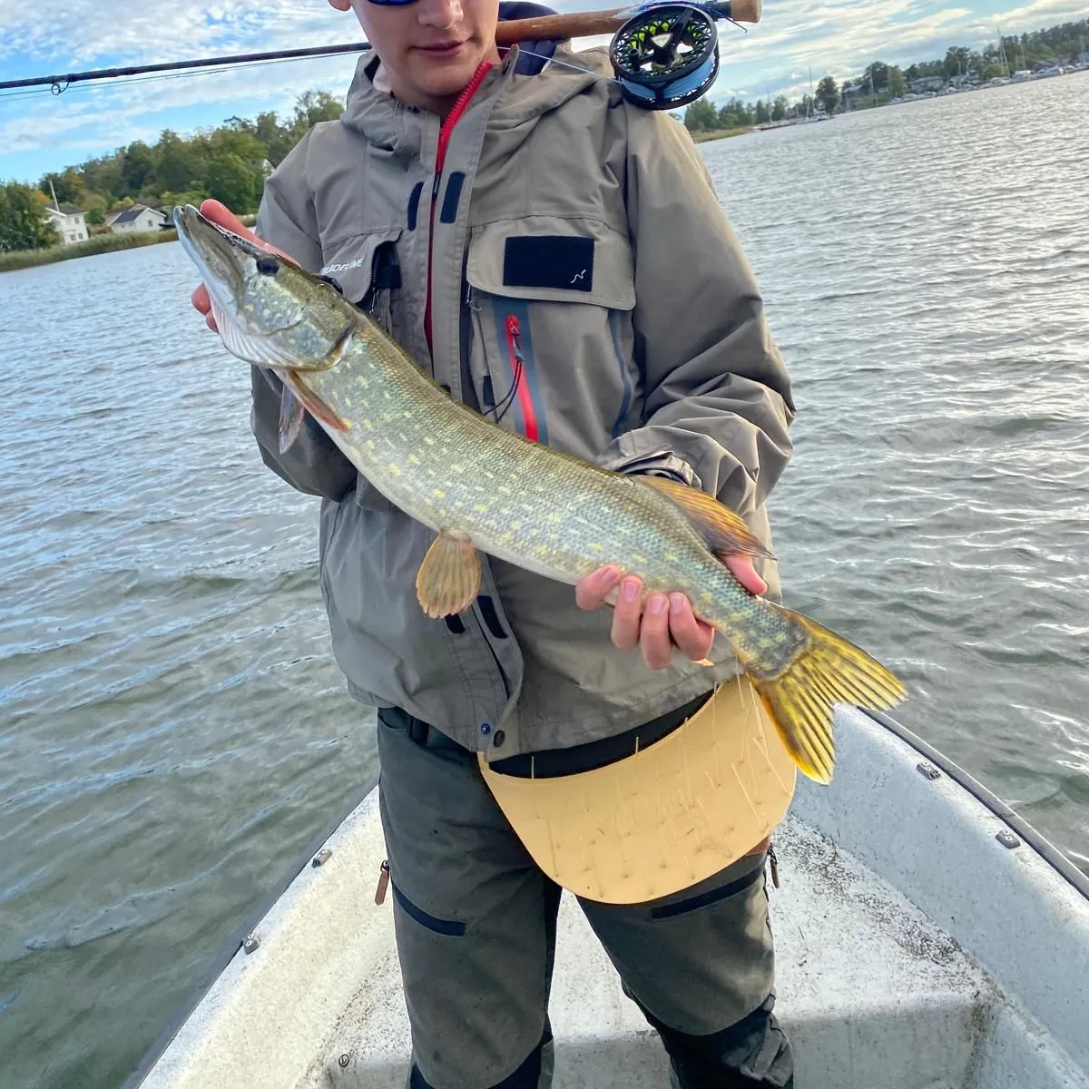 Northern pike caught on Fishbrain