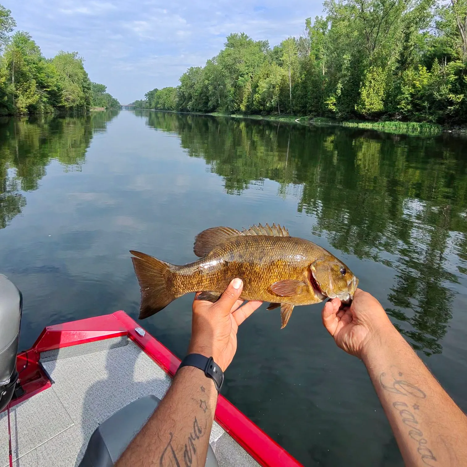 catch