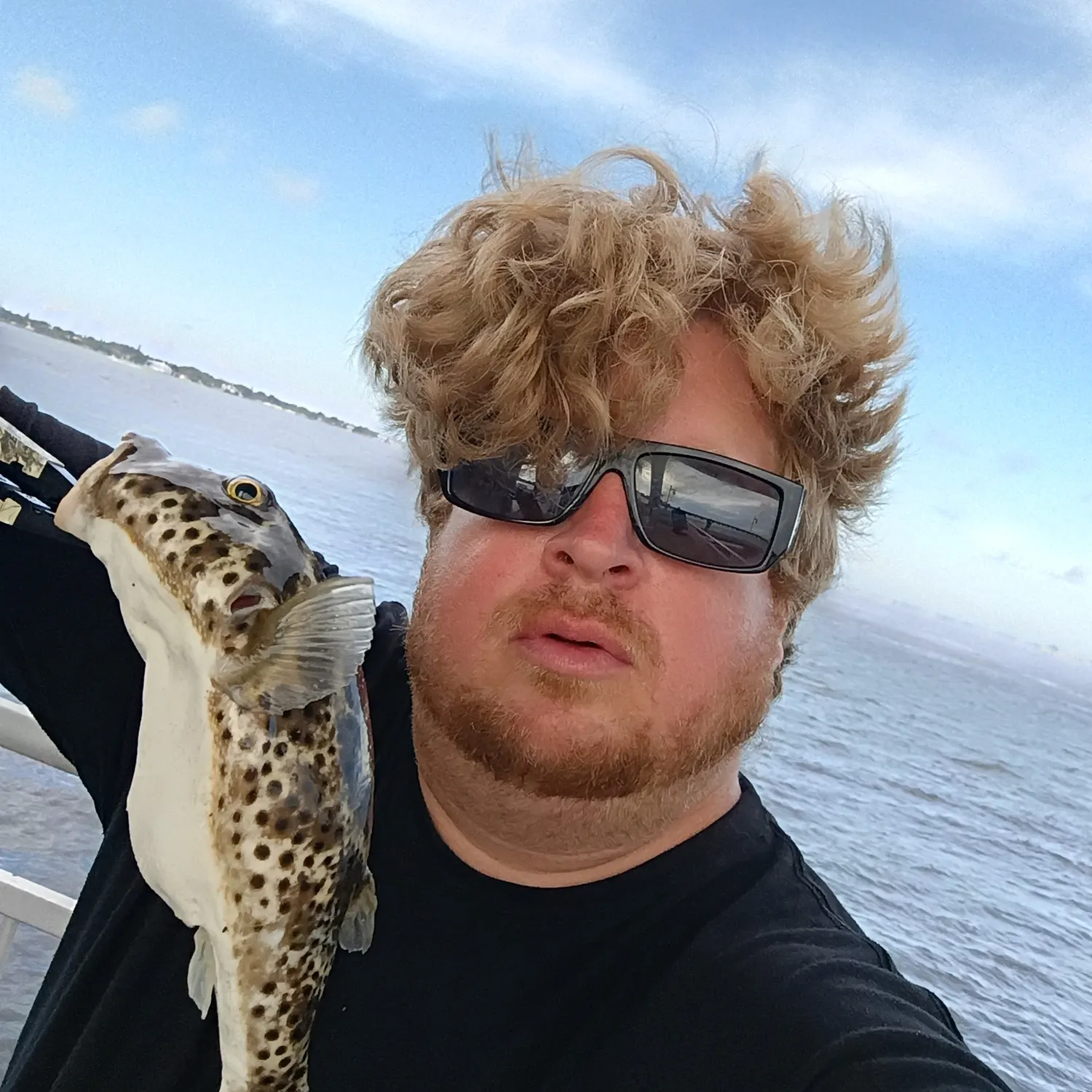 The most recent Panther puffer catches on Fishbrain